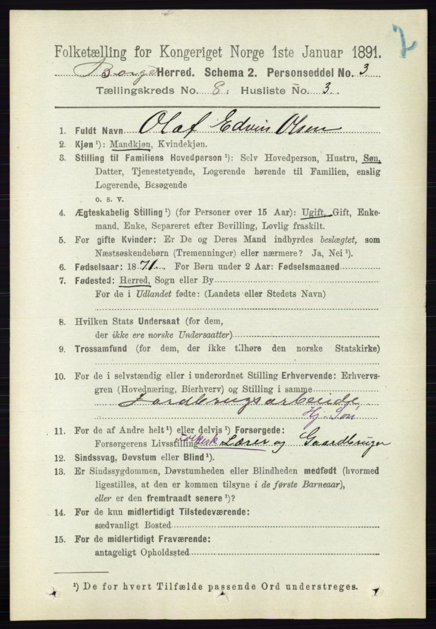 RA, 1891 census for 0113 Borge, 1891, p. 5141