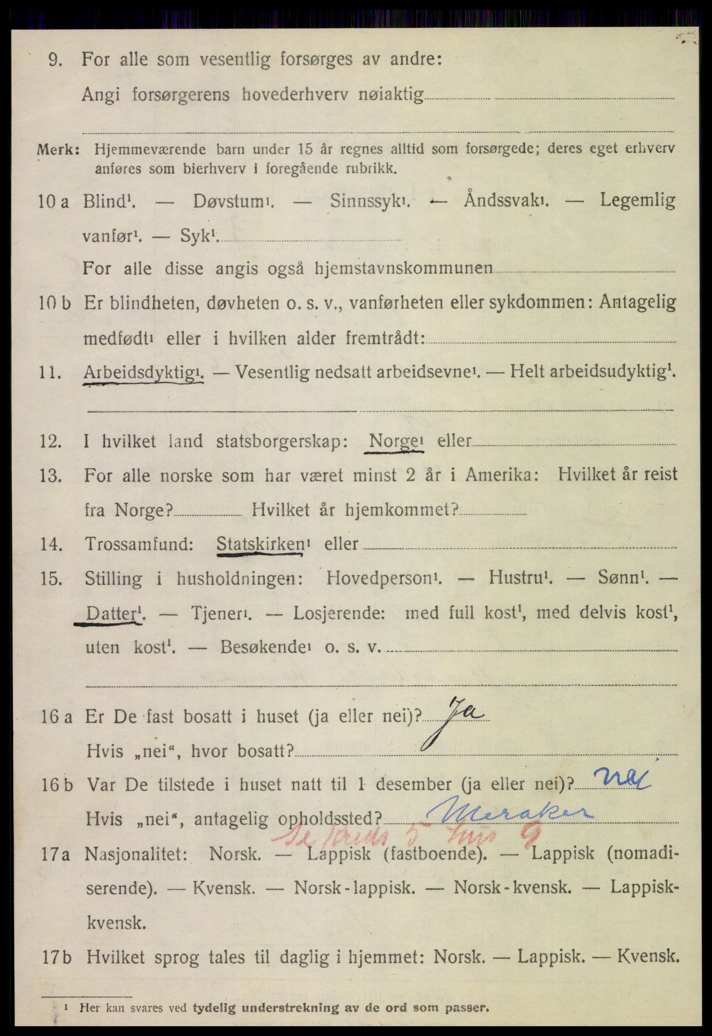 SAT, 1920 census for Meråker, 1920, p. 6219