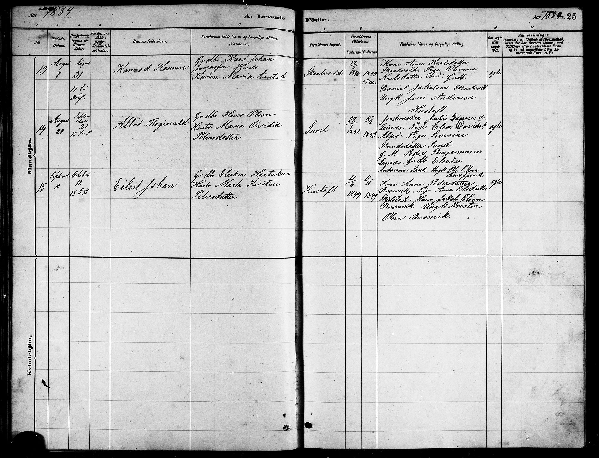 Ministerialprotokoller, klokkerbøker og fødselsregistre - Nordland, AV/SAT-A-1459/857/L0828: Parish register (copy) no. 857C03, 1879-1908, p. 25