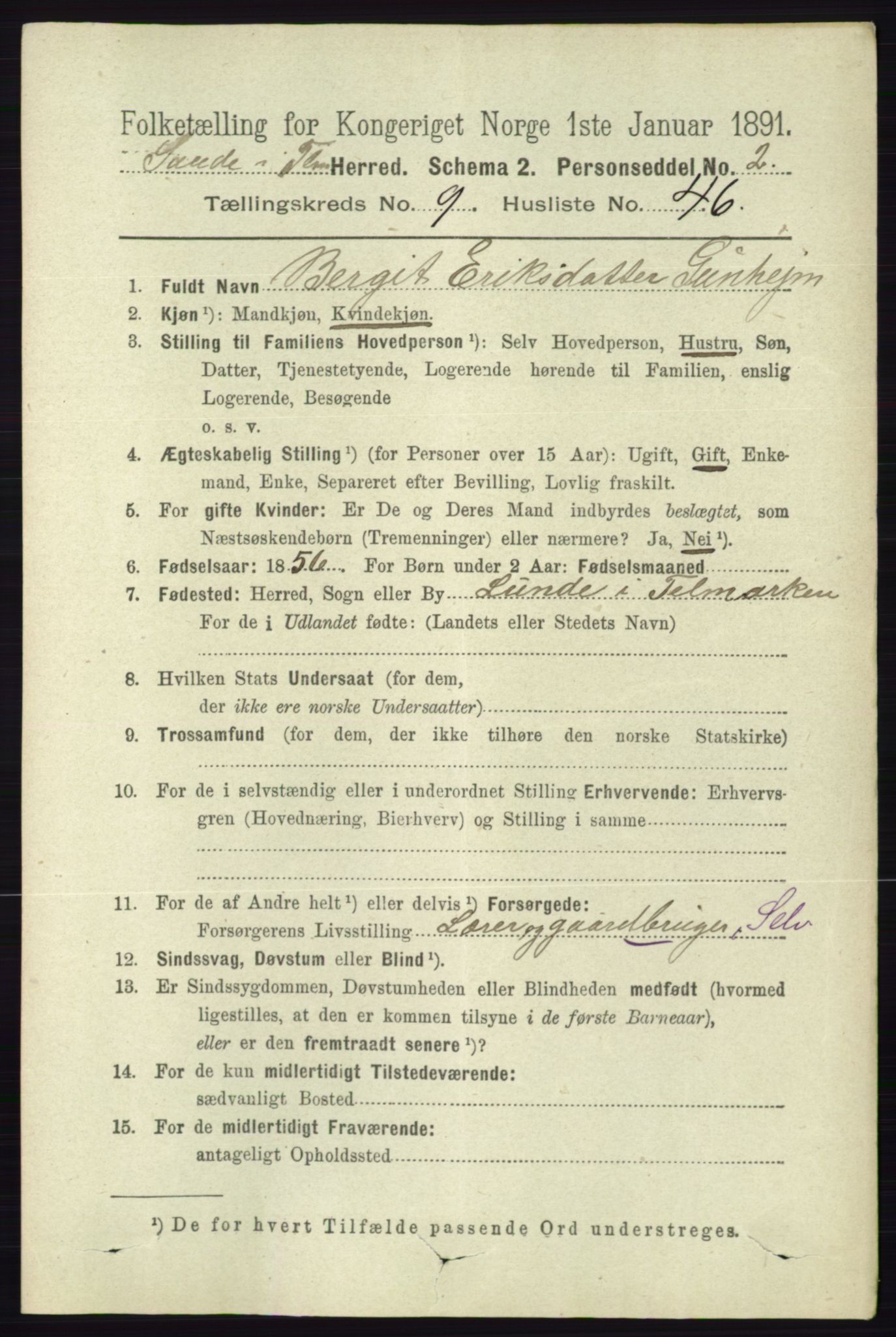 RA, 1891 census for 0822 Sauherad, 1891, p. 2925