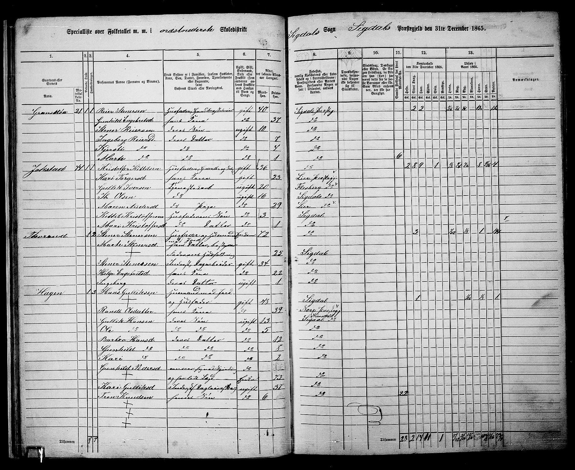 RA, 1865 census for Sigdal, 1865, p. 44