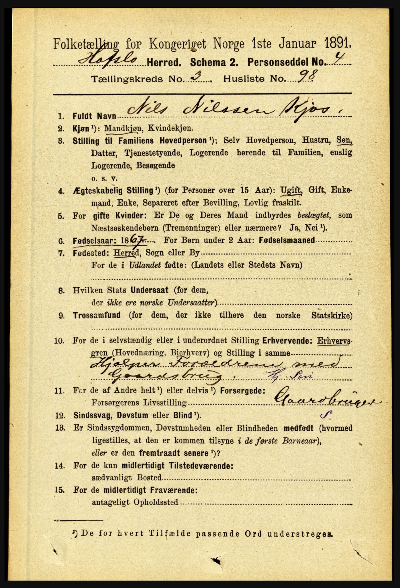 RA, 1891 census for 1425 Hafslo, 1891, p. 1507