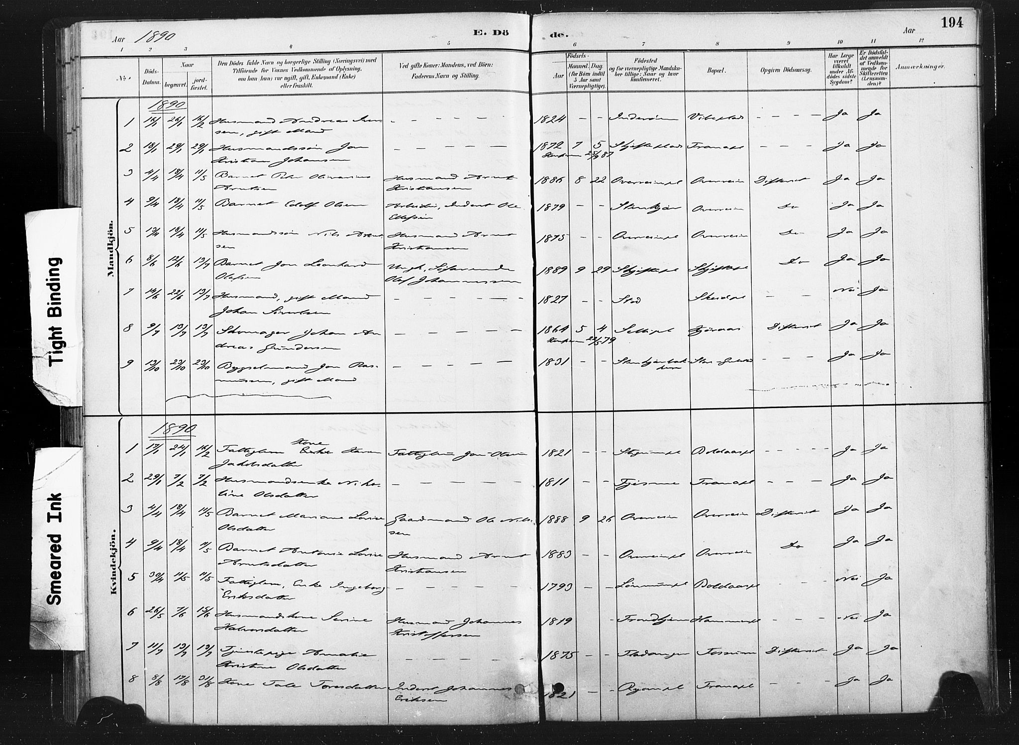 Ministerialprotokoller, klokkerbøker og fødselsregistre - Nord-Trøndelag, SAT/A-1458/736/L0361: Parish register (official) no. 736A01, 1884-1906, p. 194