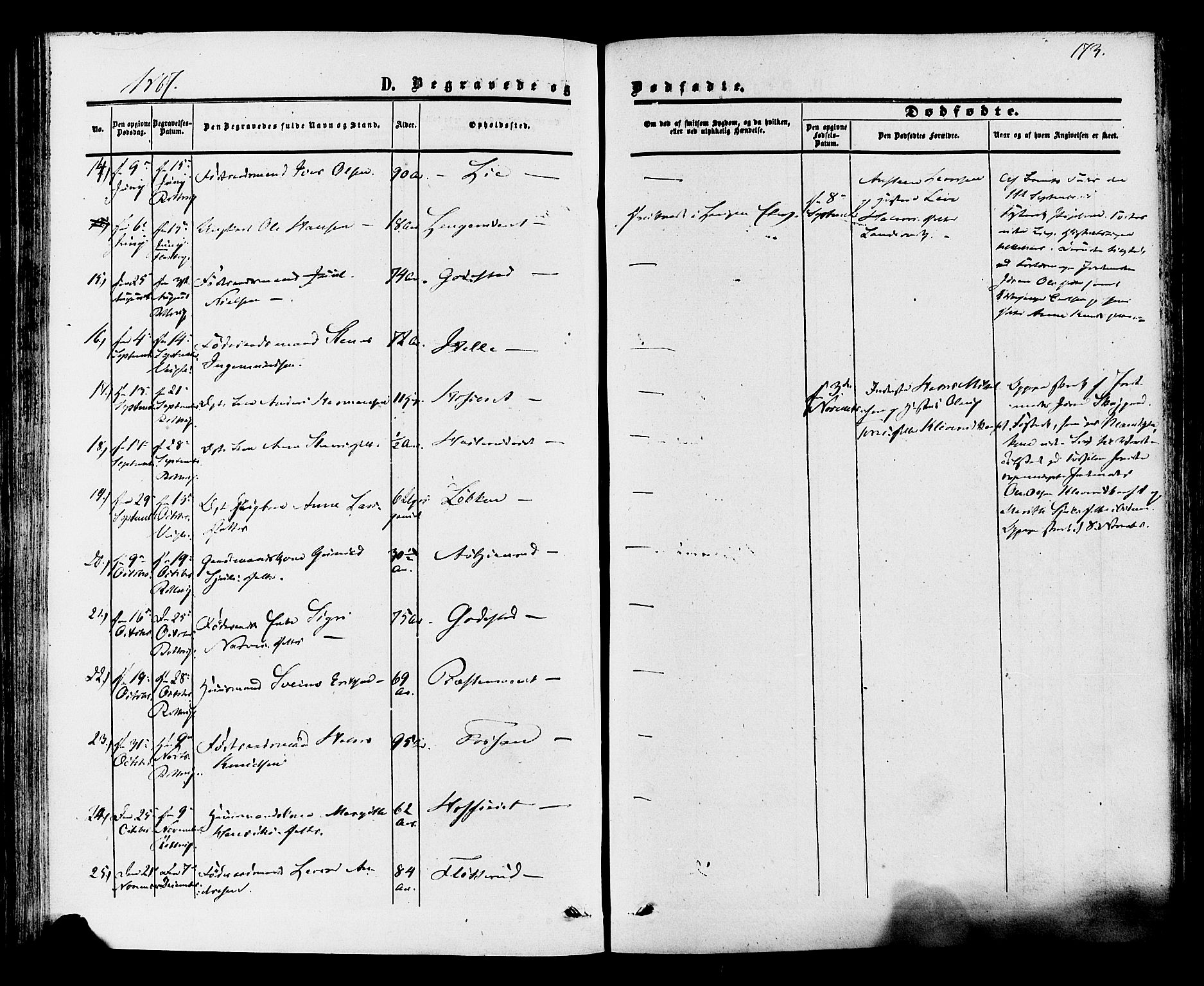 Rollag kirkebøker, AV/SAKO-A-240/F/Fa/L0009: Parish register (official) no. I 9, 1860-1874, p. 173