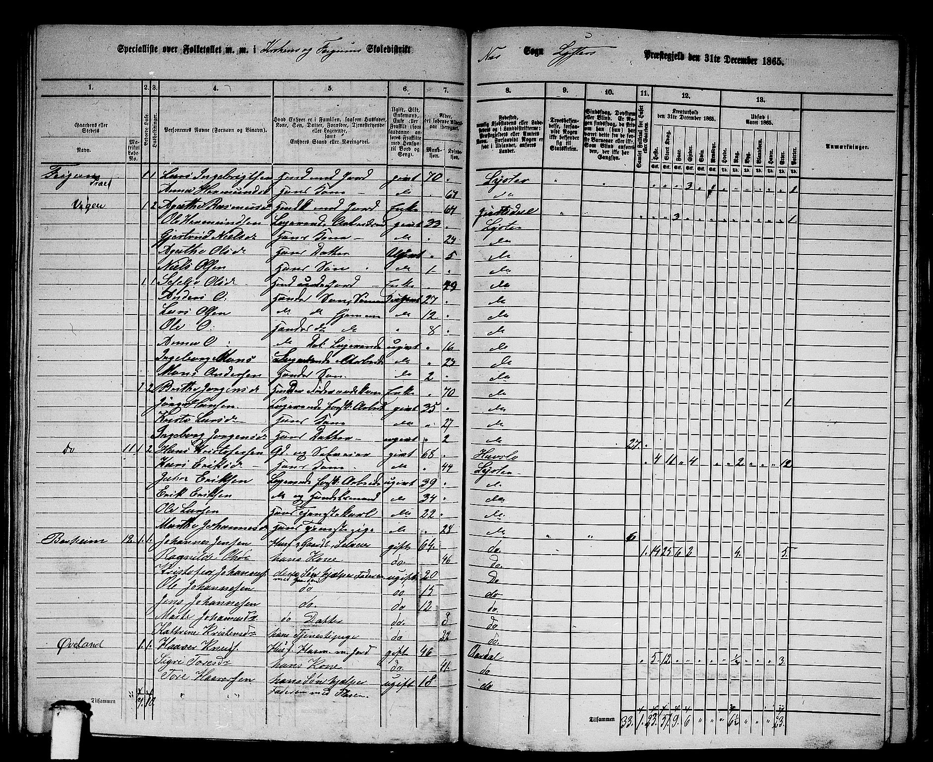 RA, 1865 census for Luster, 1865, p. 133