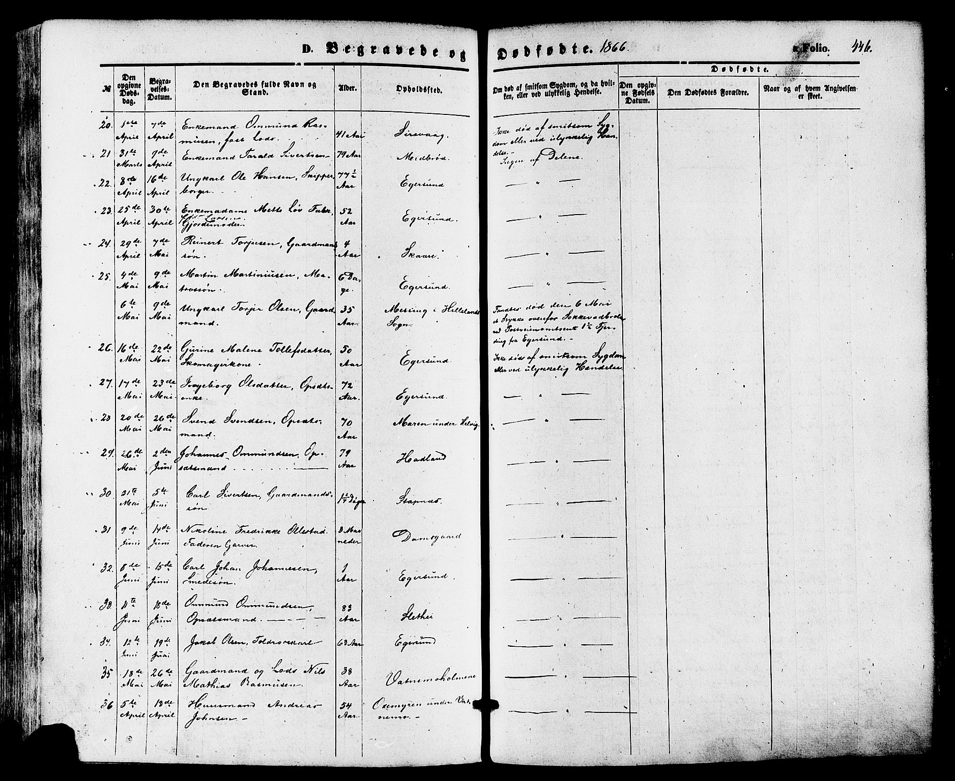 Eigersund sokneprestkontor, SAST/A-101807/S08/L0014: Parish register (official) no. A 13, 1866-1878, p. 446