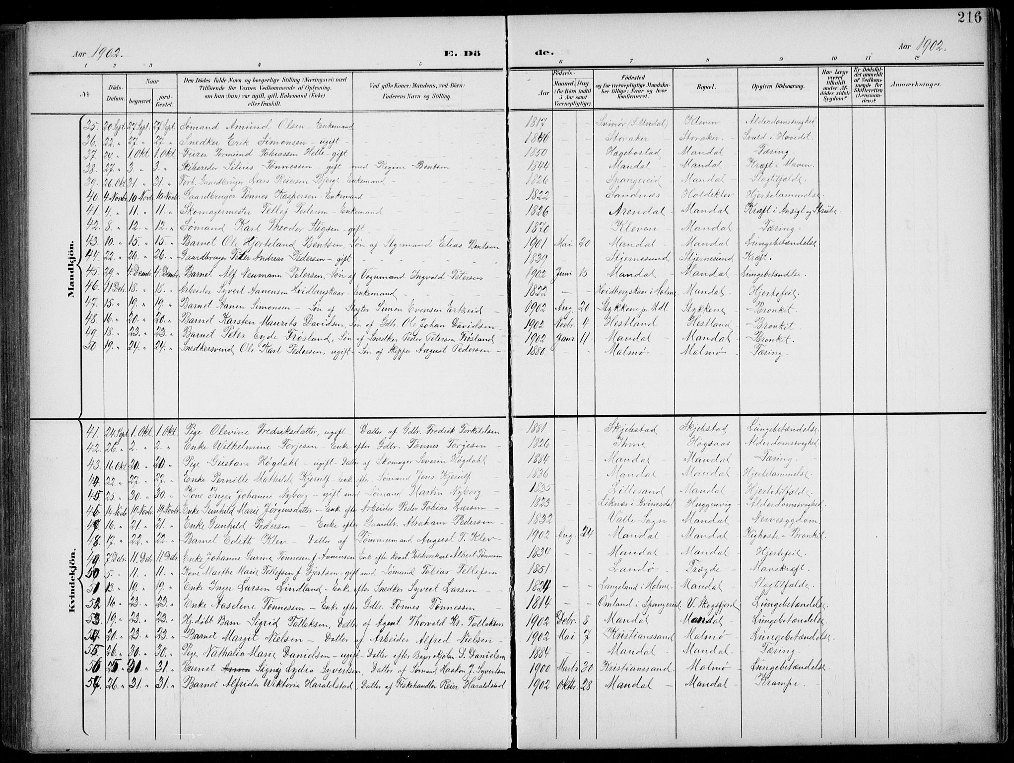 Mandal sokneprestkontor, AV/SAK-1111-0030/F/Fb/Fba/L0012: Parish register (copy) no. B 6, 1899-1918, p. 216