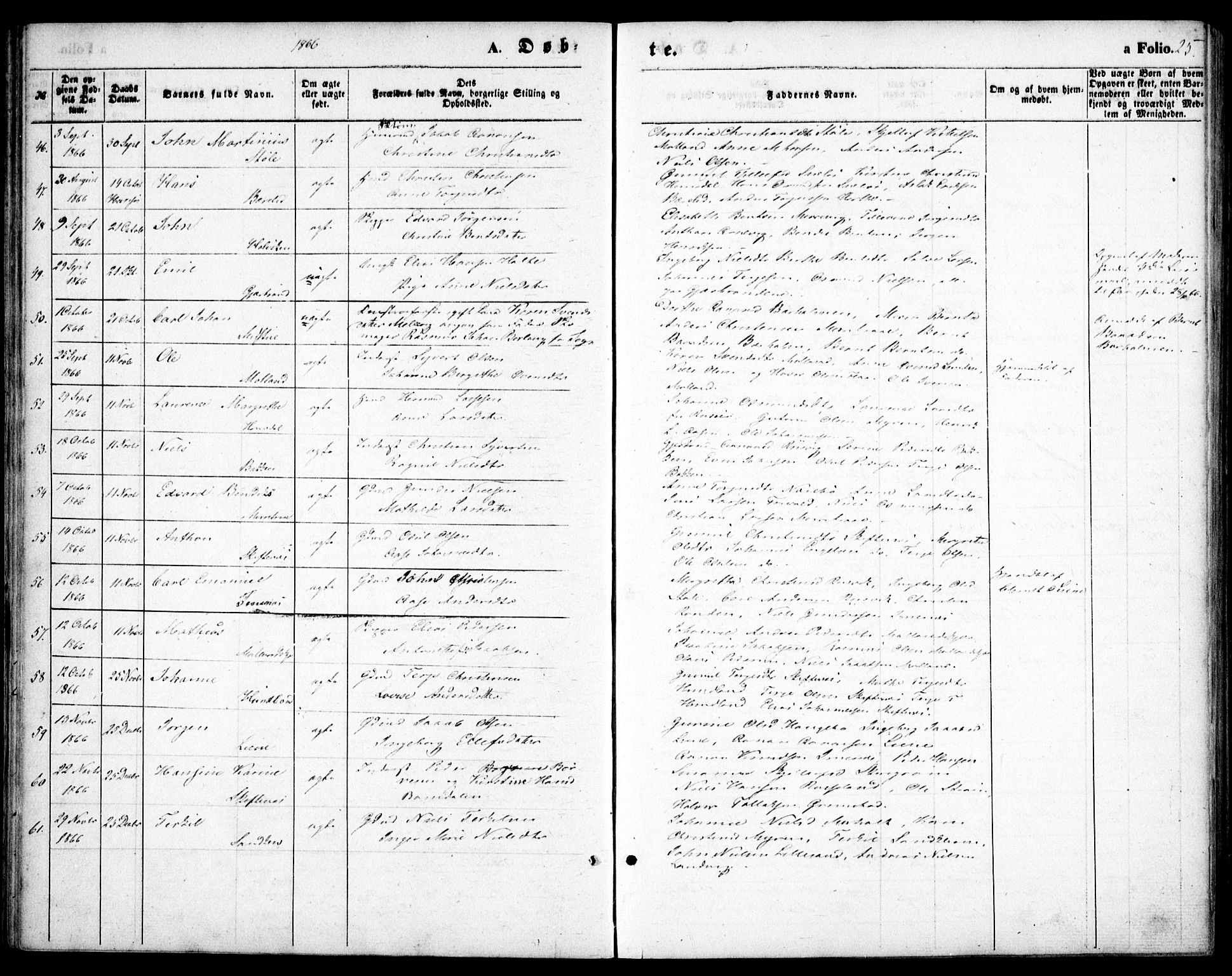 Hommedal sokneprestkontor, AV/SAK-1111-0023/F/Fa/Fab/L0005: Parish register (official) no. A 5, 1861-1877, p. 25