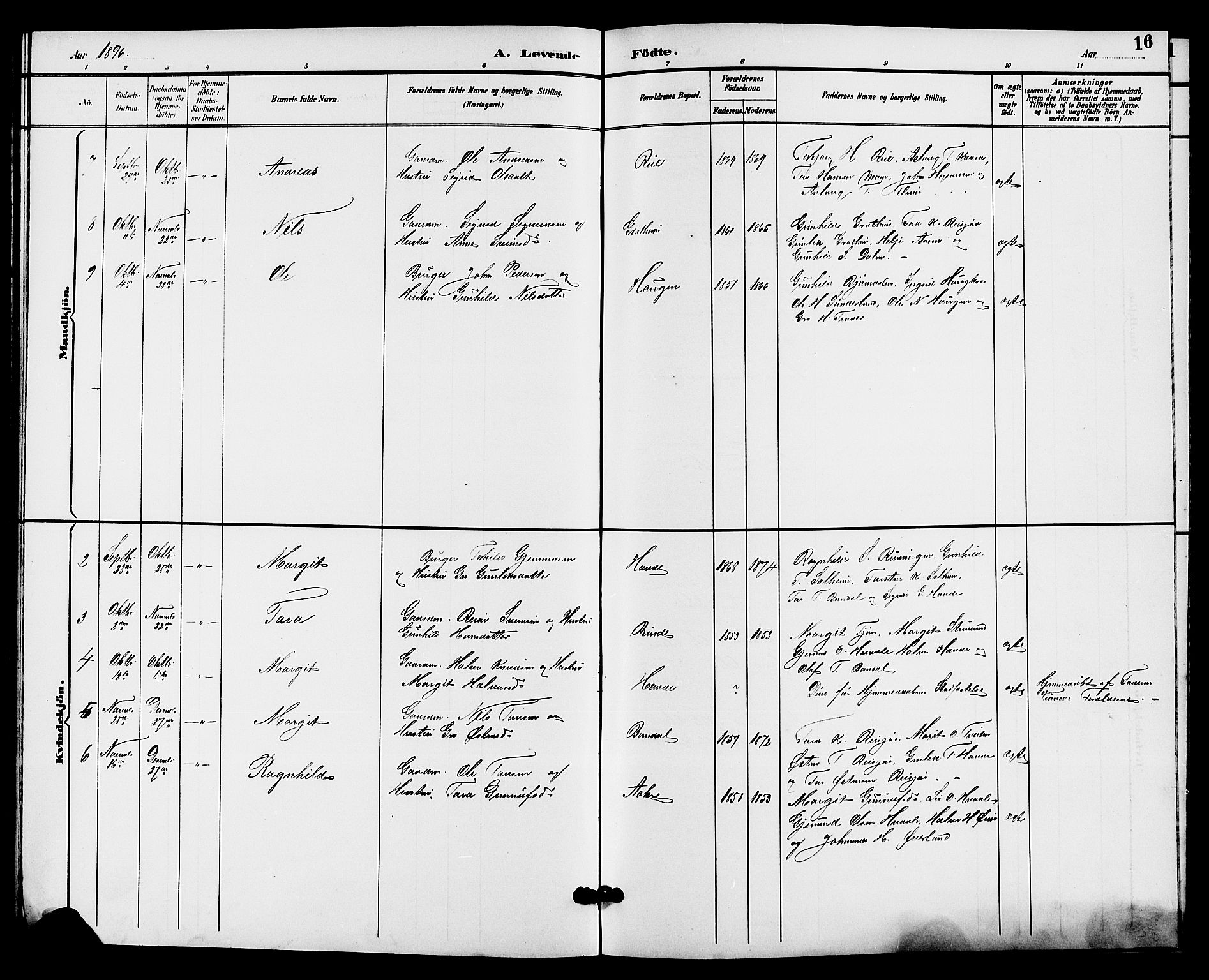Hjartdal kirkebøker, SAKO/A-270/G/Gc/L0003: Parish register (copy) no. III 3, 1890-1907, p. 16
