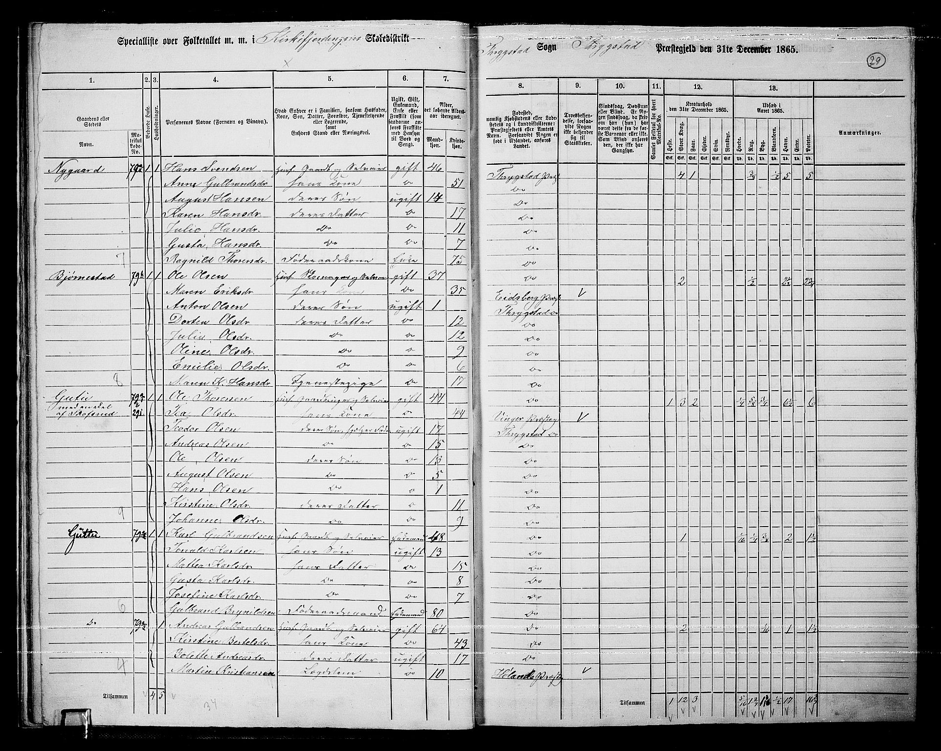 RA, 1865 census for Trøgstad, 1865, p. 28