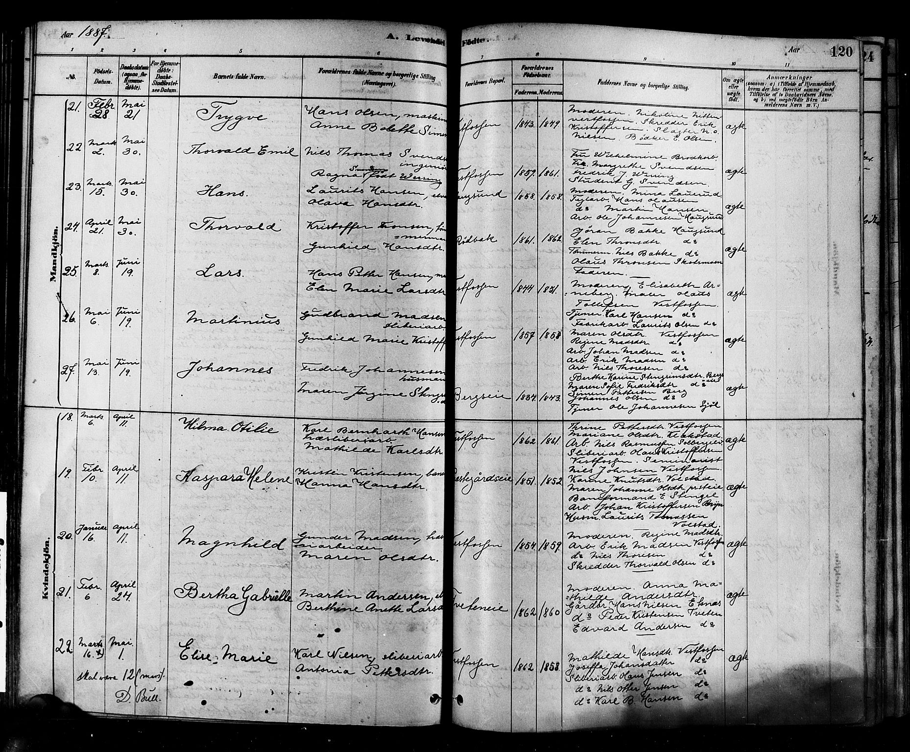 Eiker kirkebøker, AV/SAKO-A-4/F/Fb/L0001: Parish register (official) no. II 1, 1878-1888, p. 120