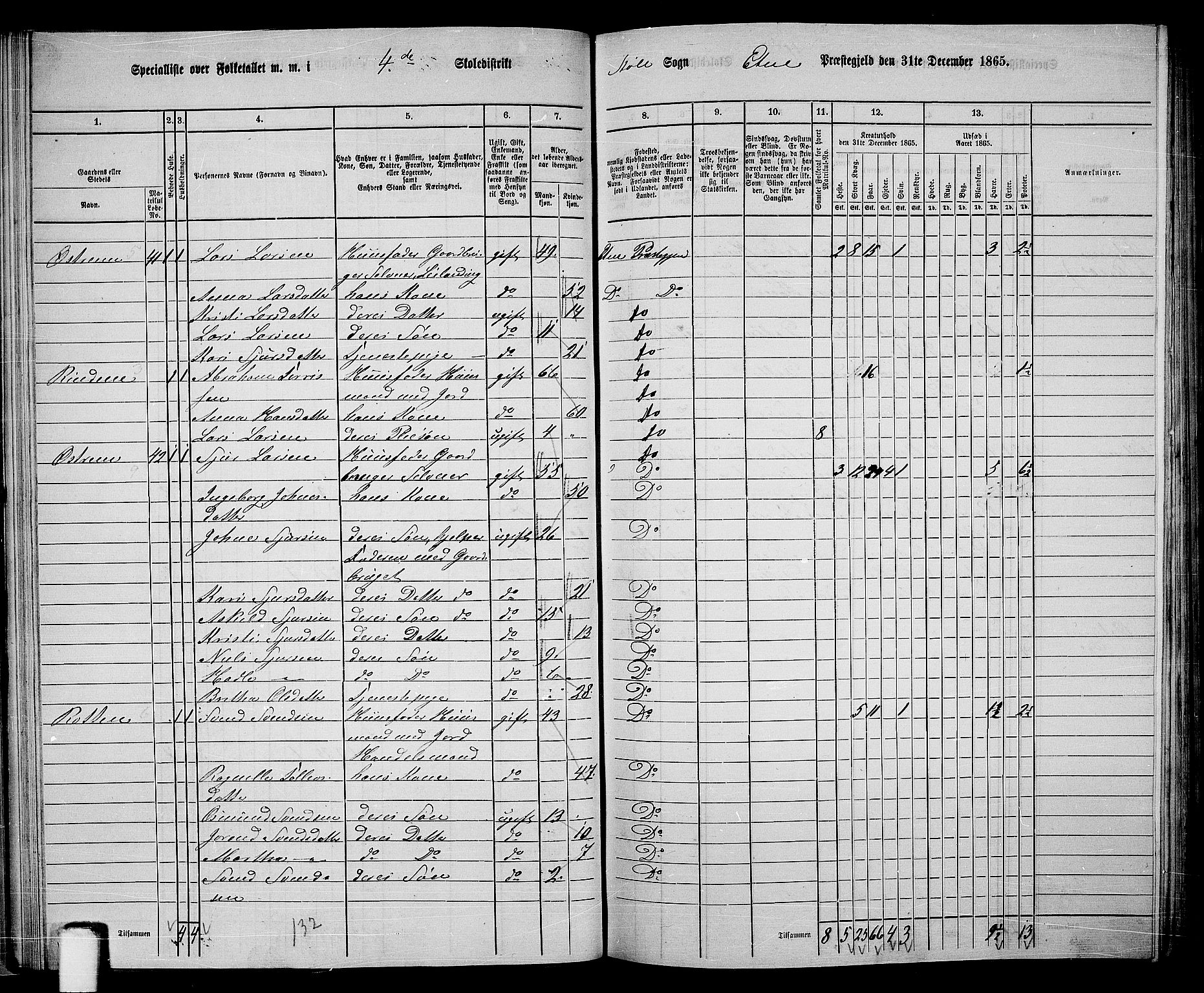 RA, 1865 census for Etne, 1865, p. 43