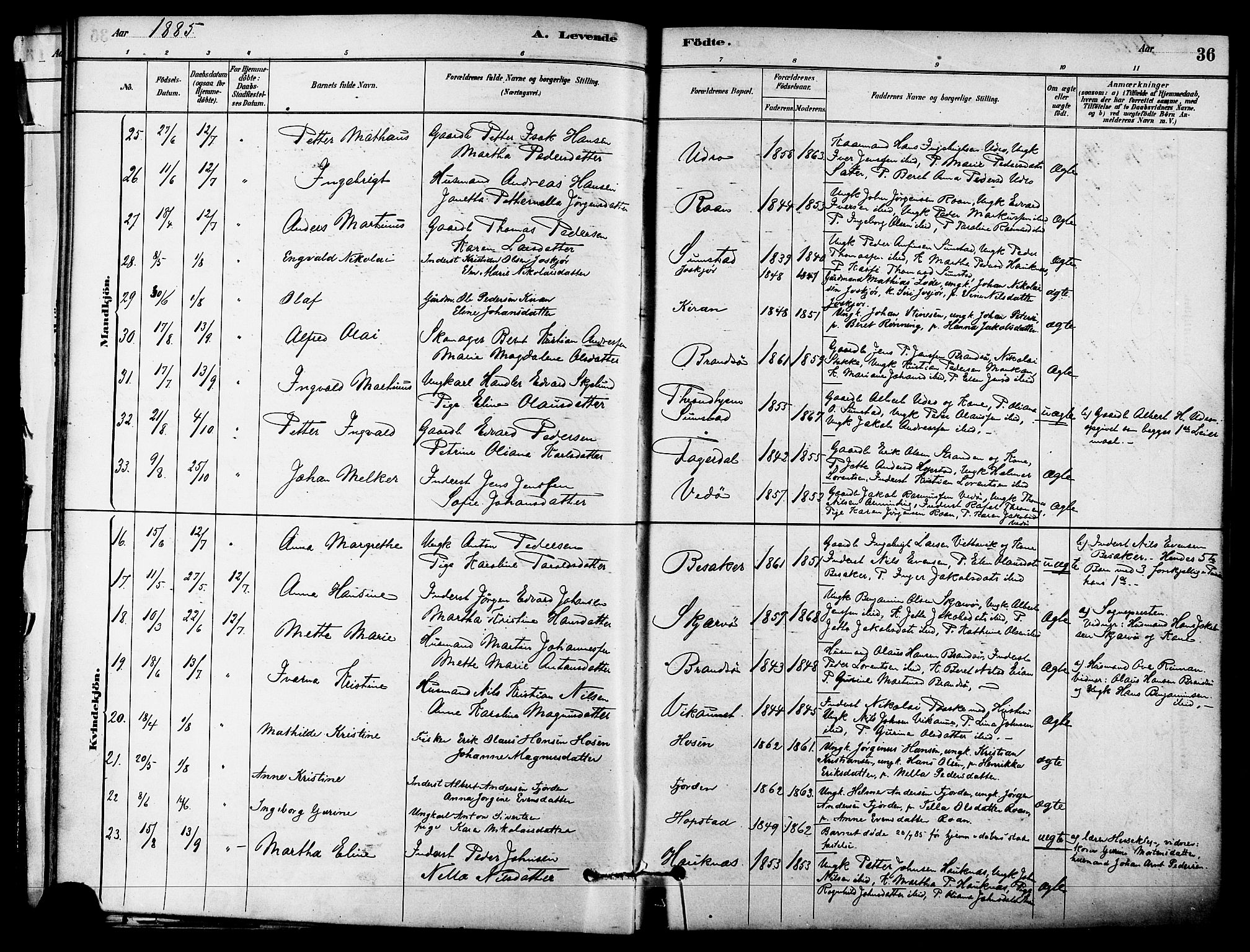 Ministerialprotokoller, klokkerbøker og fødselsregistre - Sør-Trøndelag, SAT/A-1456/657/L0707: Parish register (official) no. 657A08, 1879-1893, p. 36