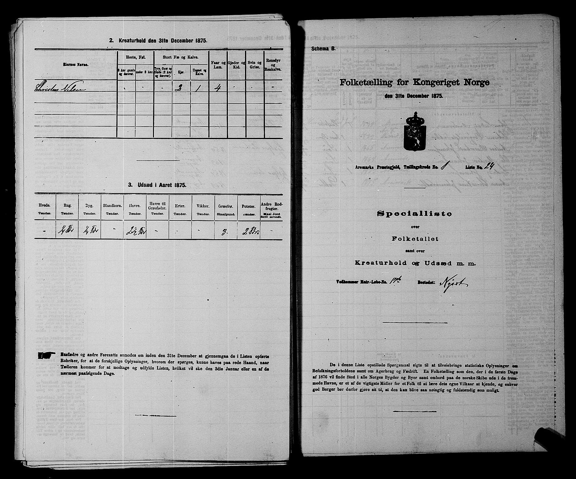 RA, 1875 census for 0118P Aremark, 1875, p. 196