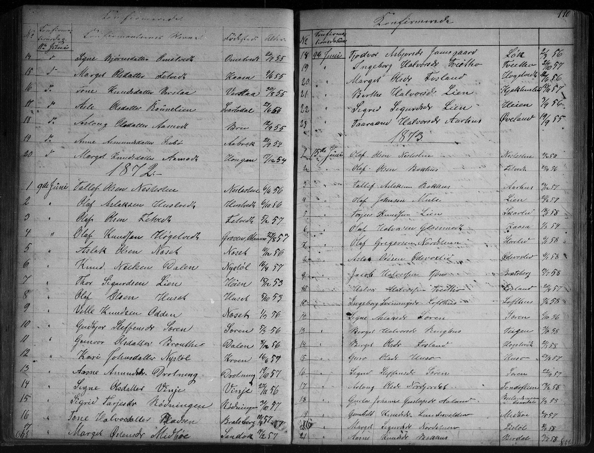 Vinje kirkebøker, SAKO/A-312/G/Ga/L0002: Parish register (copy) no. I 2, 1849-1893, p. 110