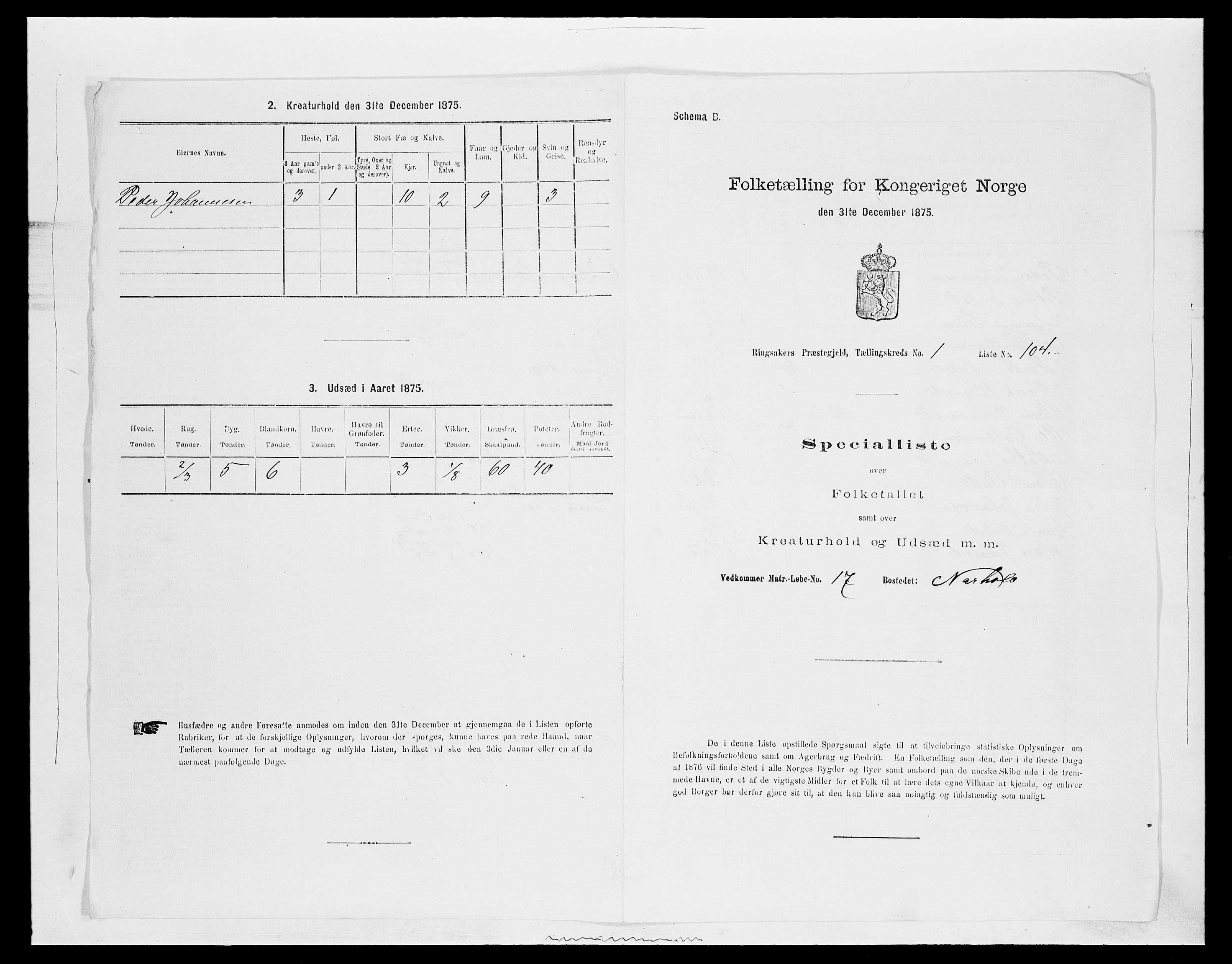 SAH, 1875 census for 0412P Ringsaker, 1875, p. 431