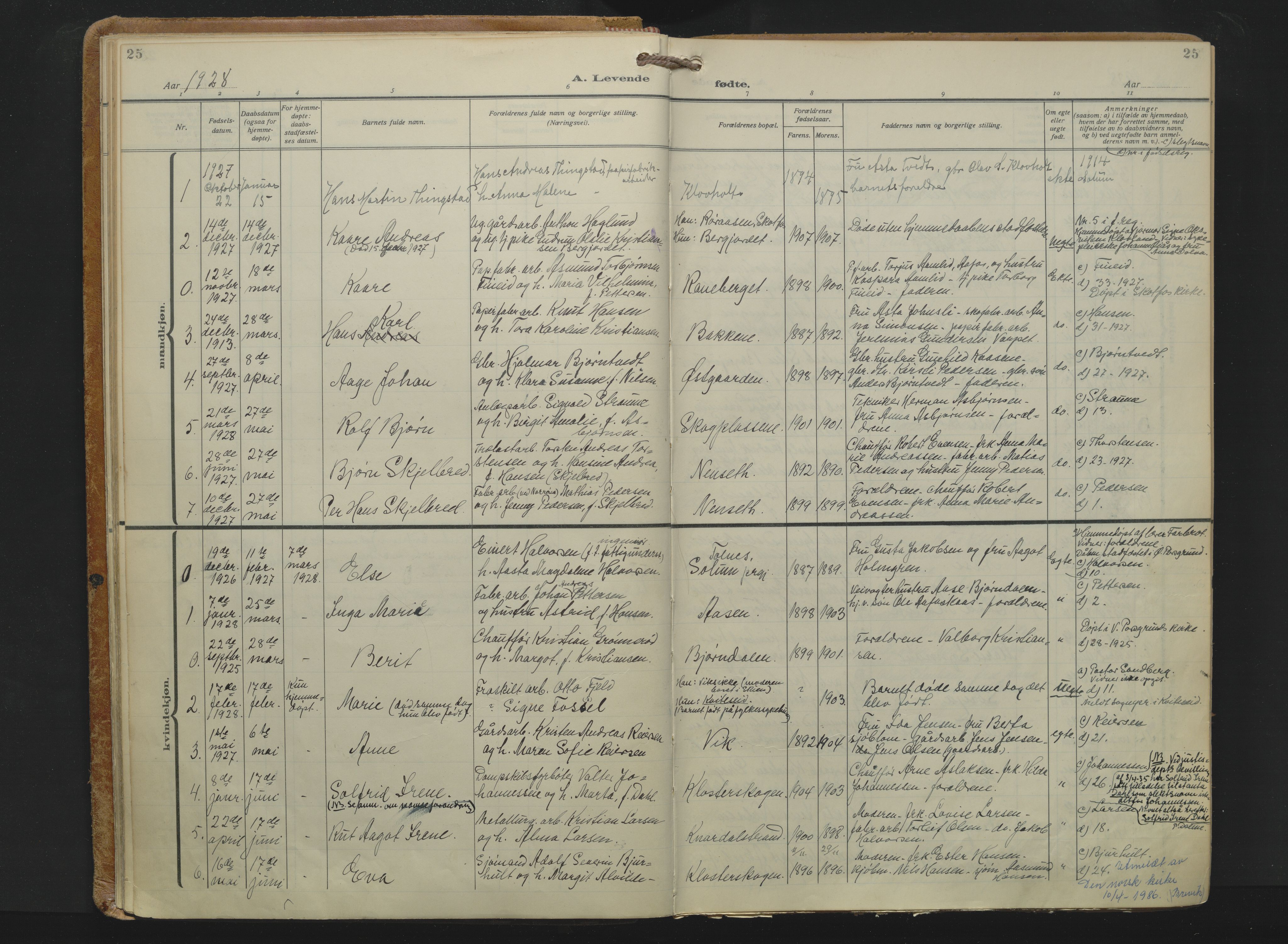 Solum kirkebøker, AV/SAKO-A-306/F/Fa/L0013: Parish register (official) no. I 13, 1923-1936, p. 25