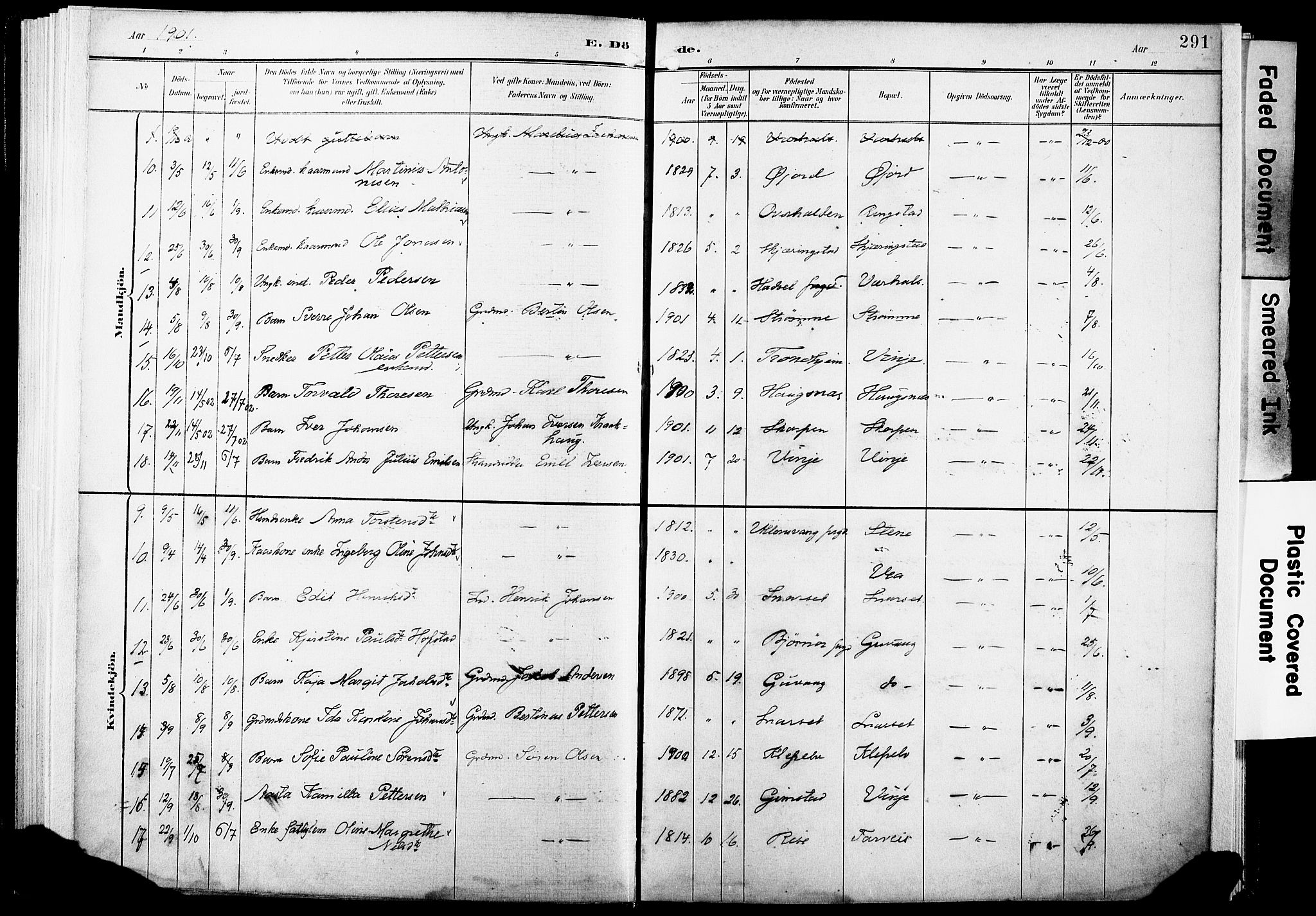 Ministerialprotokoller, klokkerbøker og fødselsregistre - Nordland, AV/SAT-A-1459/891/L1305: Parish register (official) no. 891A10, 1895-1921, p. 291