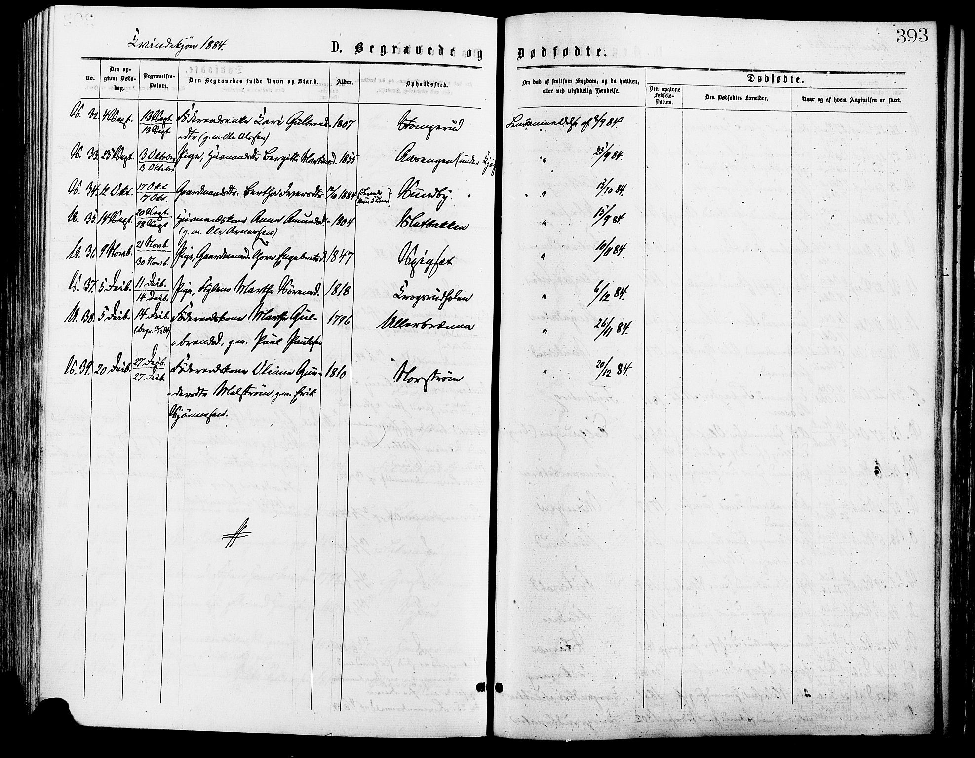 Sør-Odal prestekontor, SAH/PREST-030/H/Ha/Haa/L0005: Parish register (official) no. 5, 1876-1885, p. 393