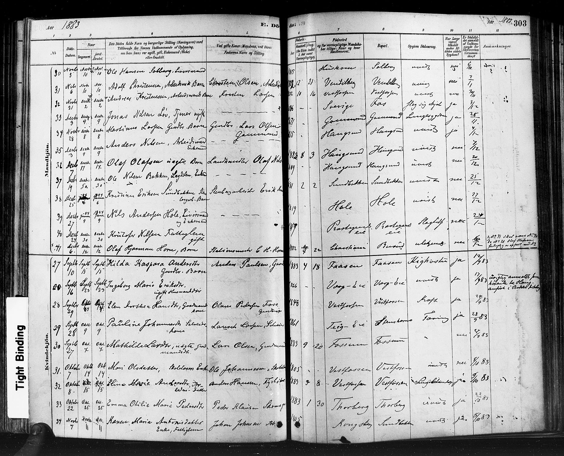 Eiker kirkebøker, AV/SAKO-A-4/F/Fb/L0001: Parish register (official) no. II 1, 1878-1888, p. 303