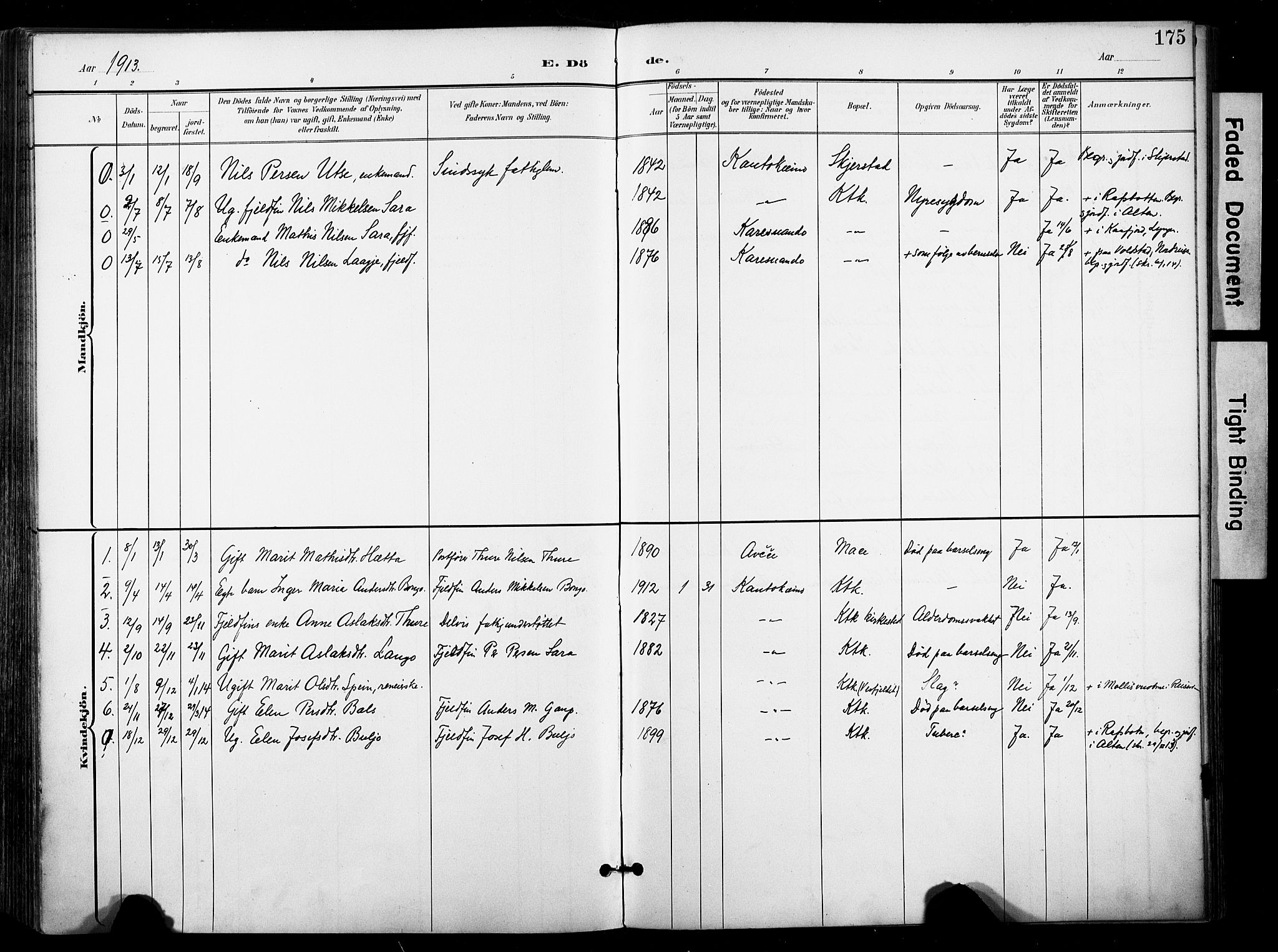 Kautokeino sokneprestembete, SATØ/S-1340/H/Ha/L0005.kirke: Parish register (official) no. 5, 1896-1916, p. 175