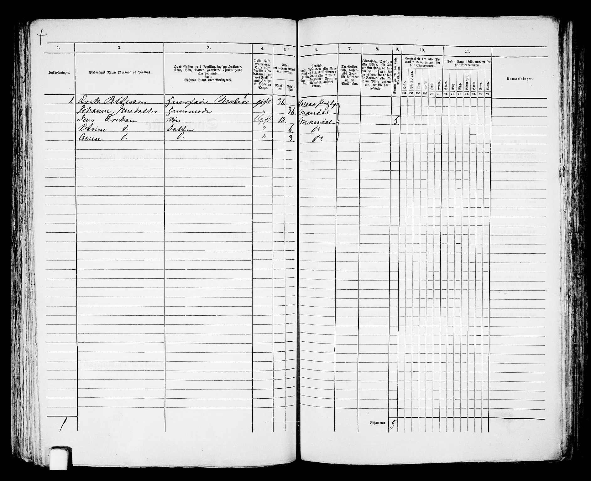 RA, 1865 census for Mandal/Mandal, 1865, p. 737