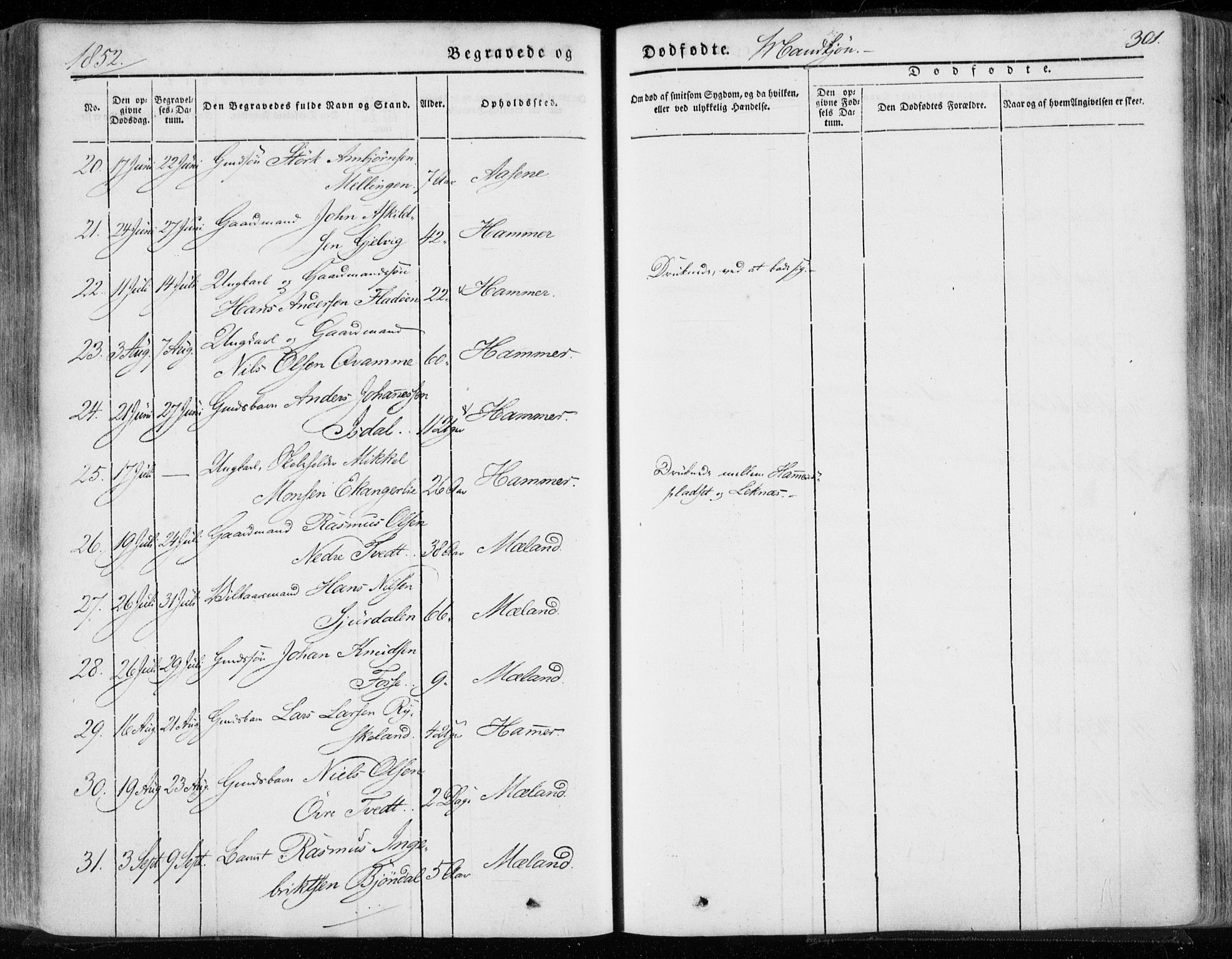 Hamre sokneprestembete, AV/SAB-A-75501/H/Ha/Haa/Haaa/L0013: Parish register (official) no. A 13, 1846-1857, p. 301