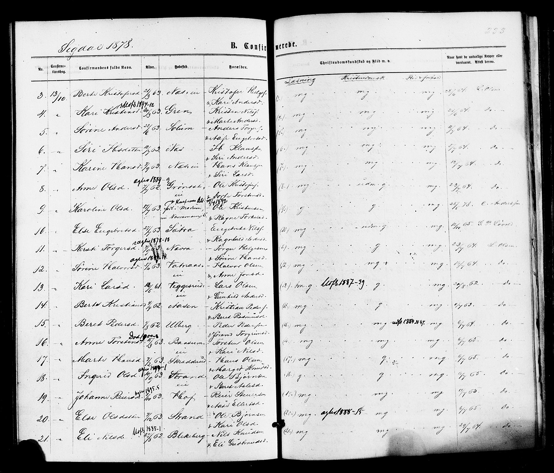 Sigdal kirkebøker, AV/SAKO-A-245/F/Fa/L0010: Parish register (official) no. I 10 /1, 1872-1878, p. 233