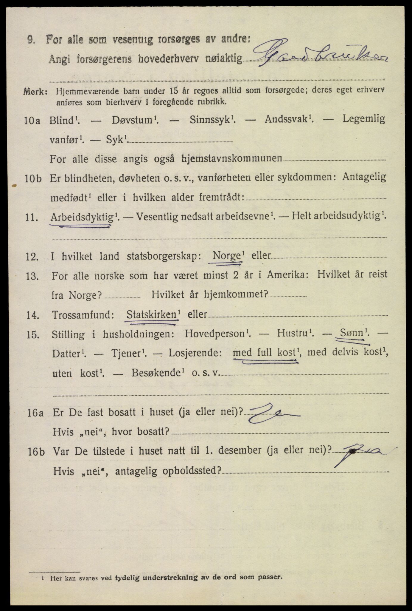 SAK, 1920 census for Bykle, 1920, p. 1002
