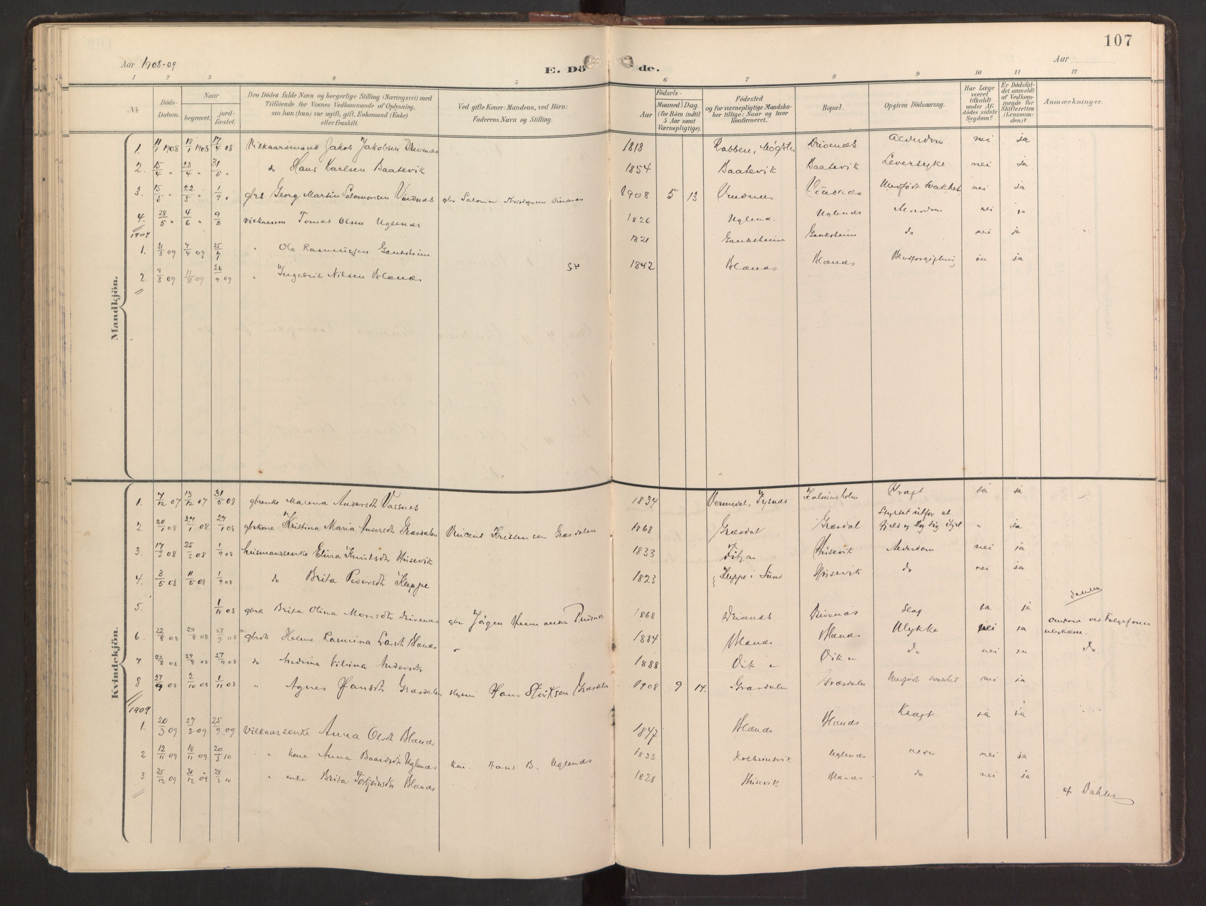 Fitjar sokneprestembete, SAB/A-99926: Parish register (official) no. B 1, 1900-1926, p. 107
