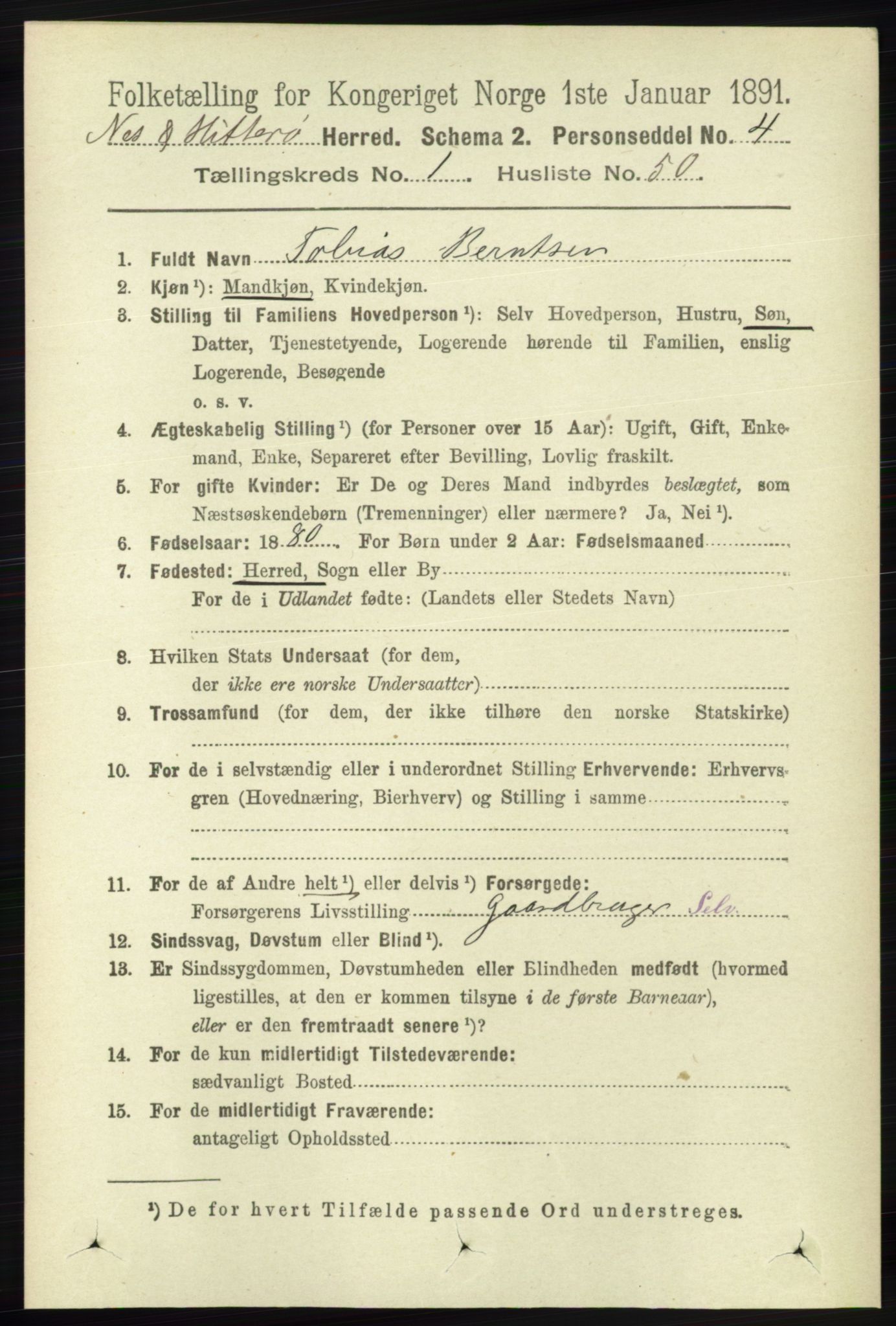 RA, 1891 census for 1043 Hidra og Nes, 1891, p. 373