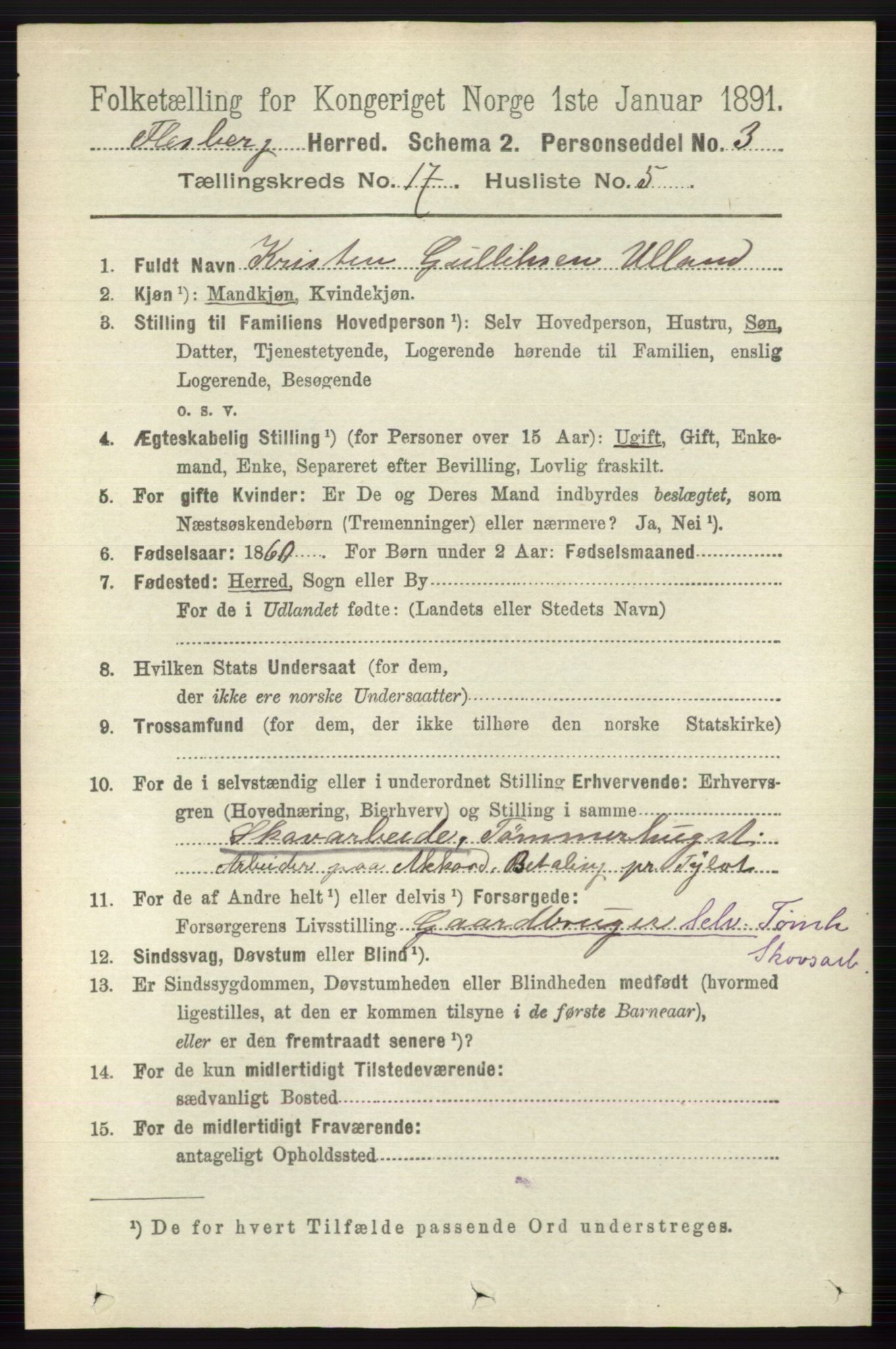 RA, 1891 census for 0631 Flesberg, 1891, p. 3006