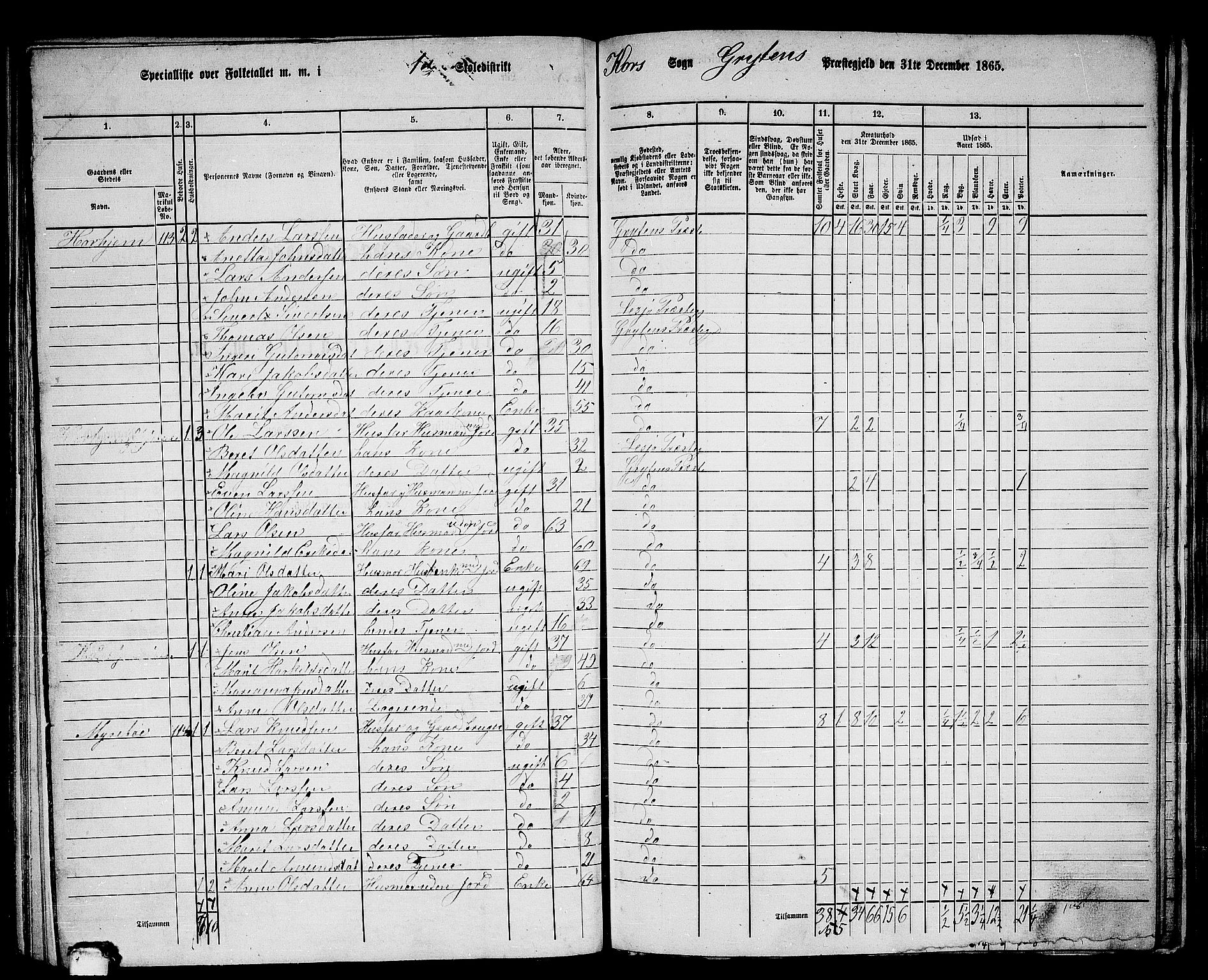 RA, 1865 census for Grytten, 1865, p. 102