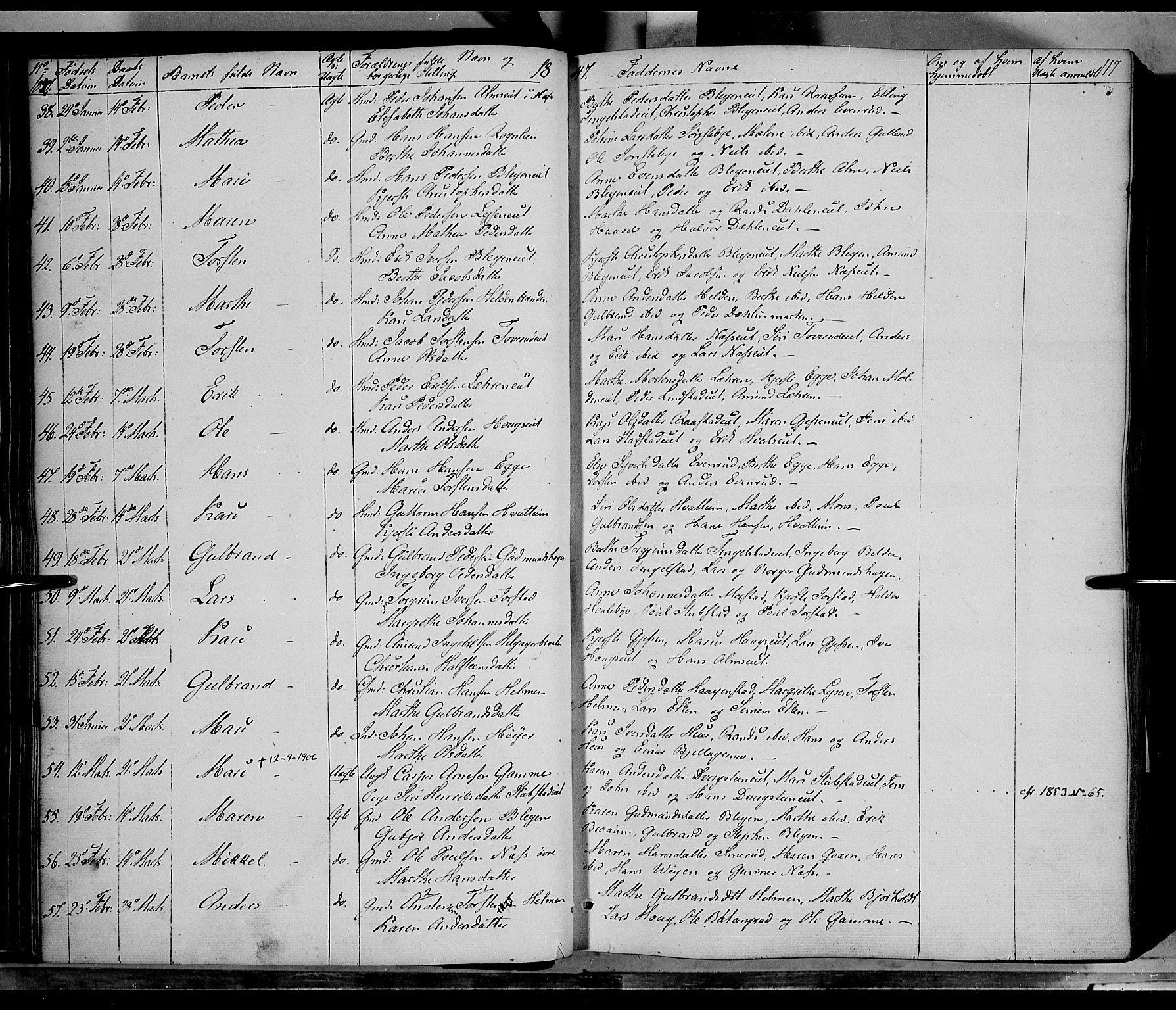Gran prestekontor, AV/SAH-PREST-112/H/Ha/Haa/L0011: Parish register (official) no. 11, 1842-1856, p. 116-117
