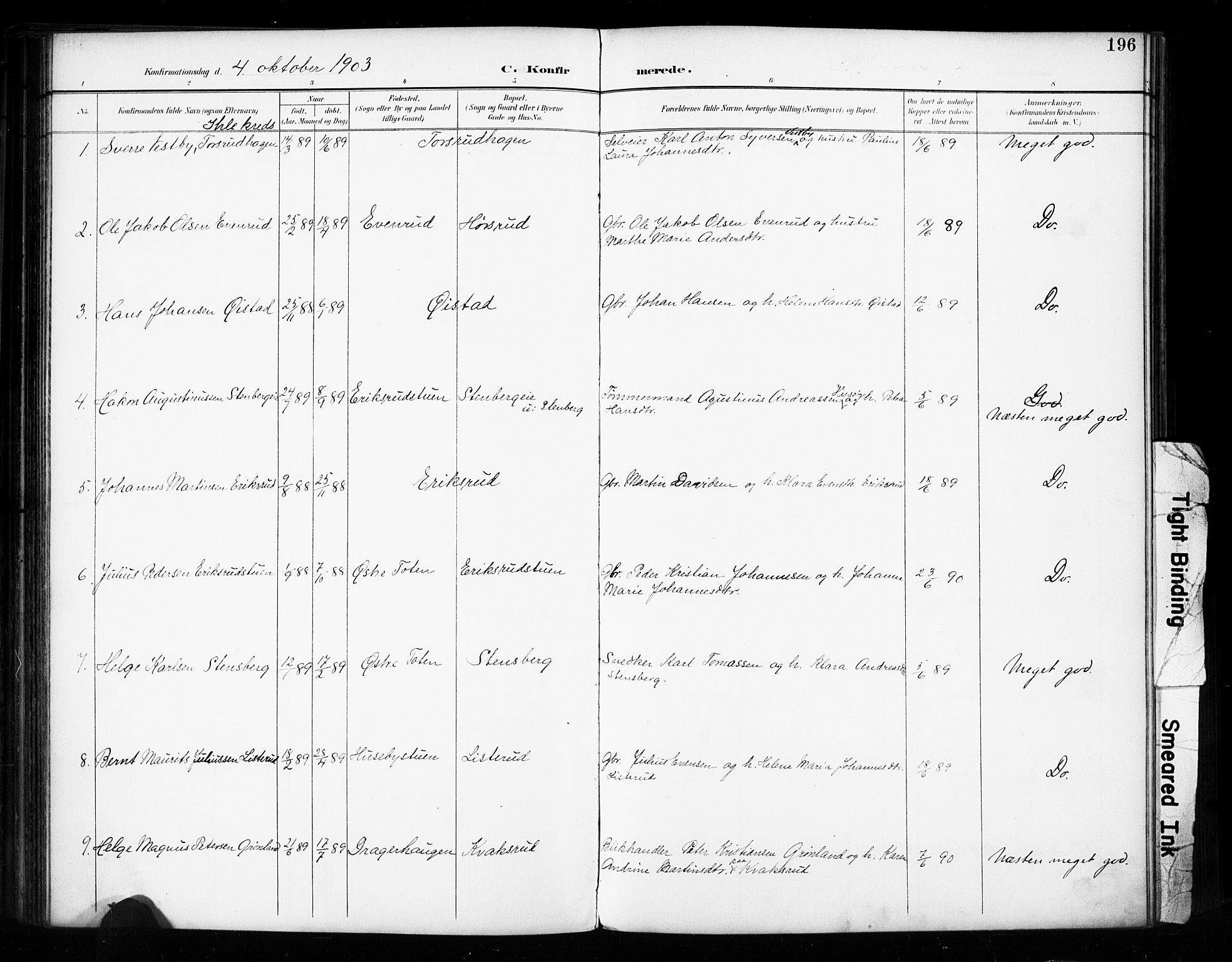Vestre Toten prestekontor, SAH/PREST-108/H/Ha/Haa/L0011: Parish register (official) no. 11, 1895-1906, p. 196
