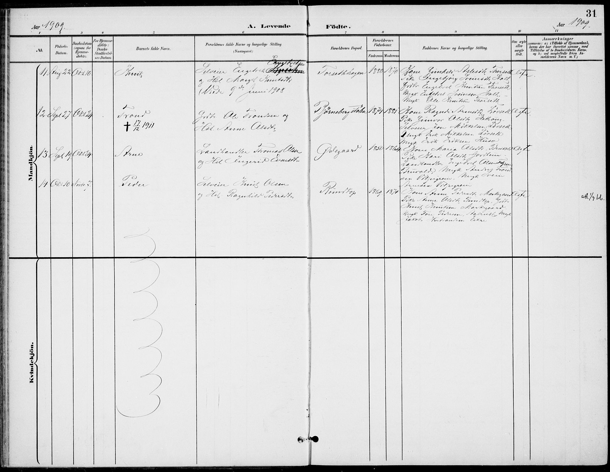 Gol kirkebøker, AV/SAKO-A-226/F/Fb/L0002: Parish register (official) no. II 2, 1900-1921, p. 31