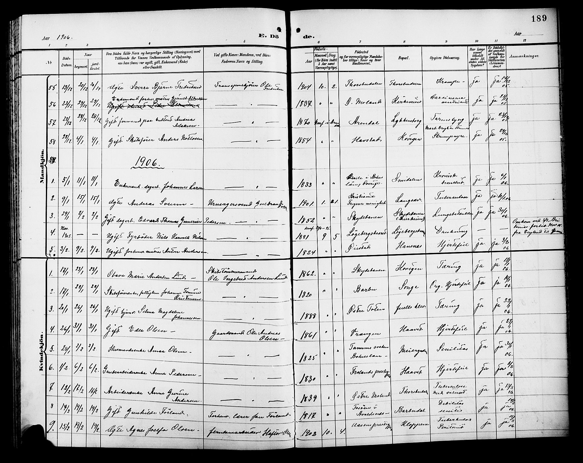 Barbu sokneprestkontor, AV/SAK-1111-0003/F/Fb/L0003: Parish register (copy) no. B 3, 1897-1911, p. 189