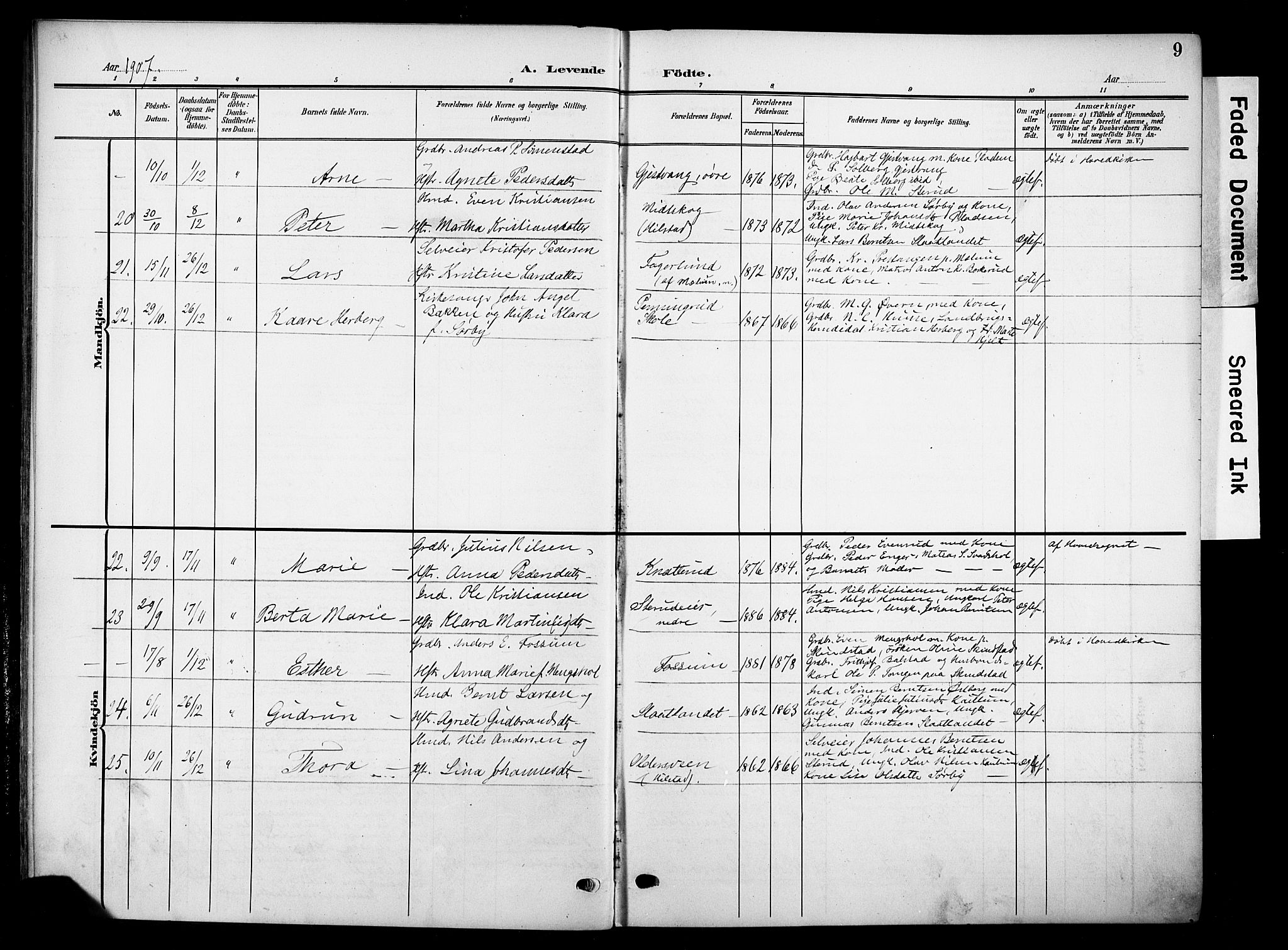 Nes prestekontor, Hedmark, SAH/PREST-020/K/Ka/L0013: Parish register (official) no. 13, 1906-1924, p. 9