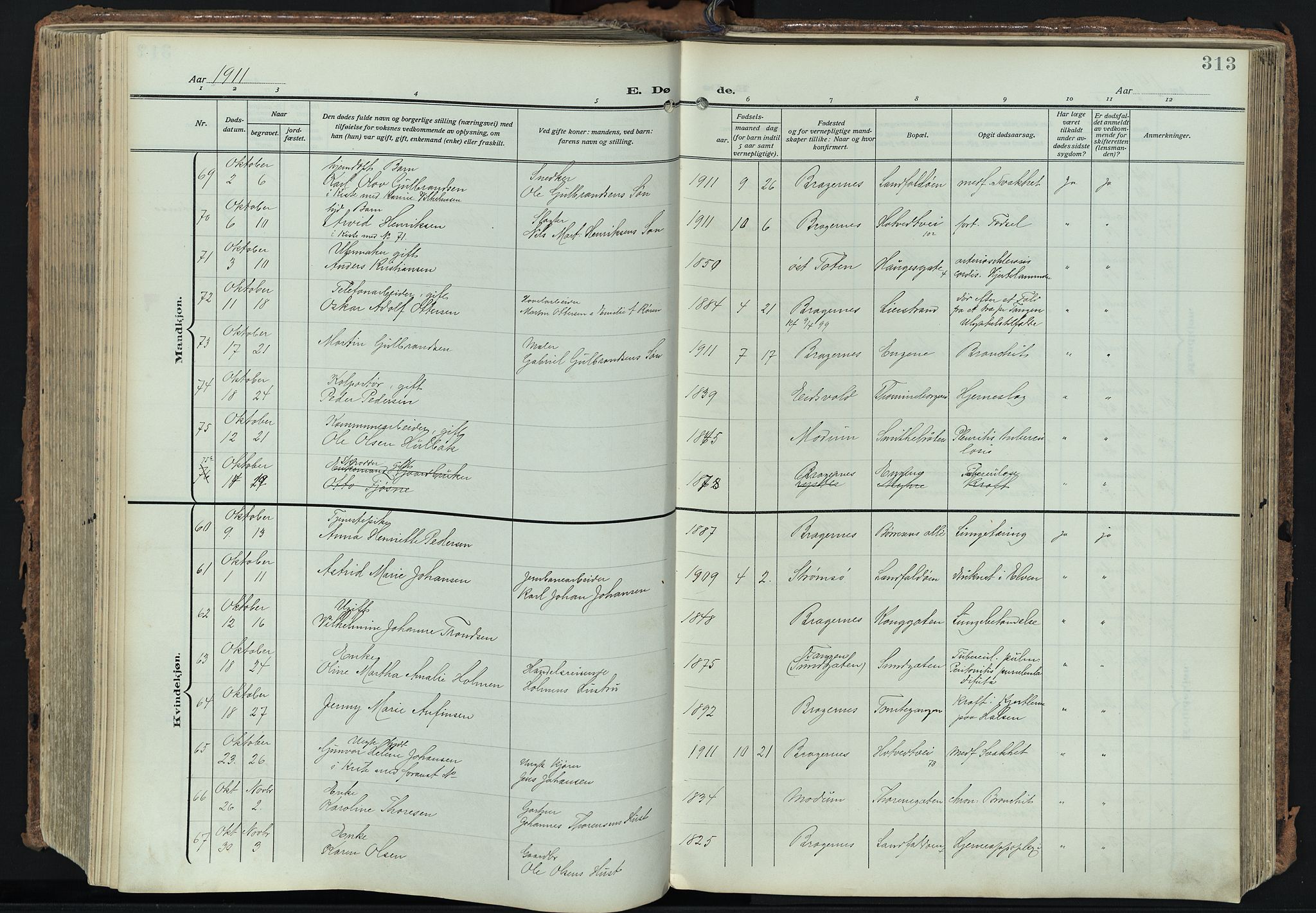 Bragernes kirkebøker, SAKO/A-6/F/Fb/L0010: Parish register (official) no. II 10, 1911-1922, p. 313