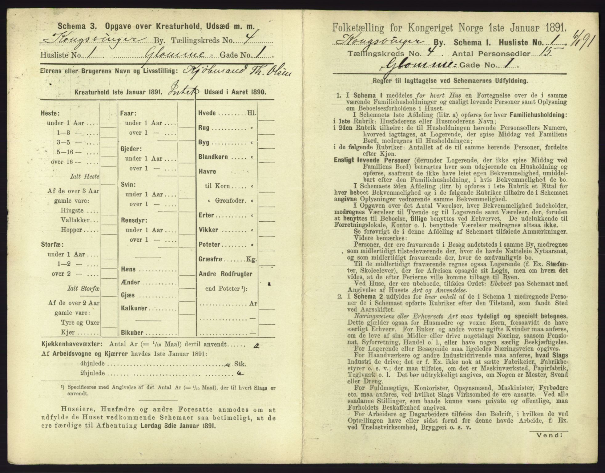 RA, 1891 census for 0402 Kongsvinger, 1891, p. 249