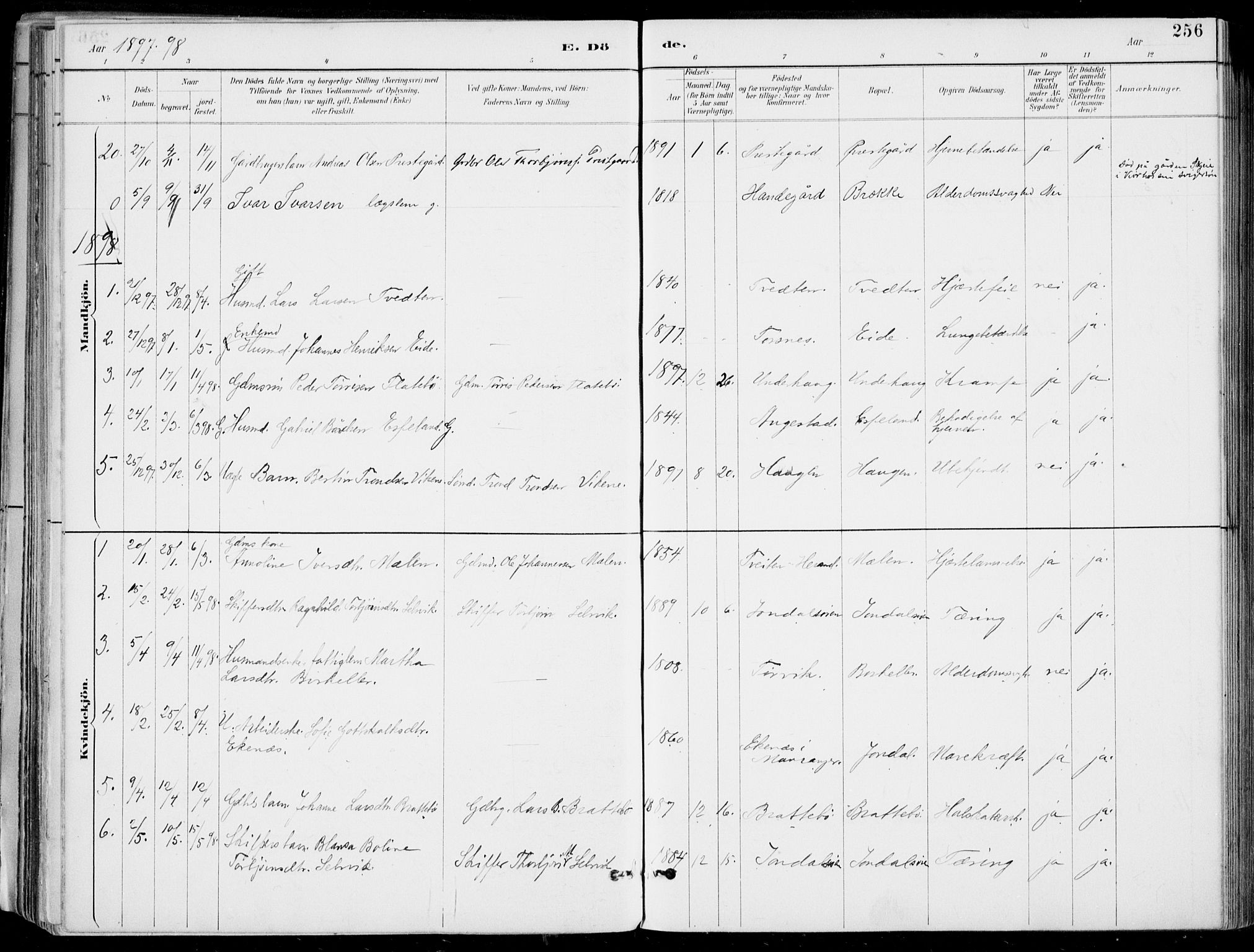 Strandebarm sokneprestembete, SAB/A-78401/H/Haa: Parish register (official) no. E  1, 1886-1908, p. 256