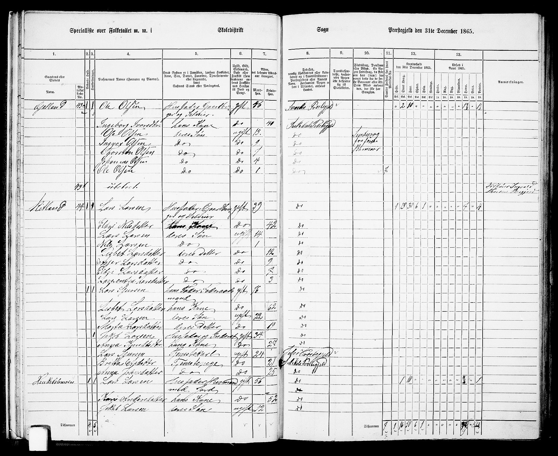 RA, 1865 census for Suldal, 1865, p. 25