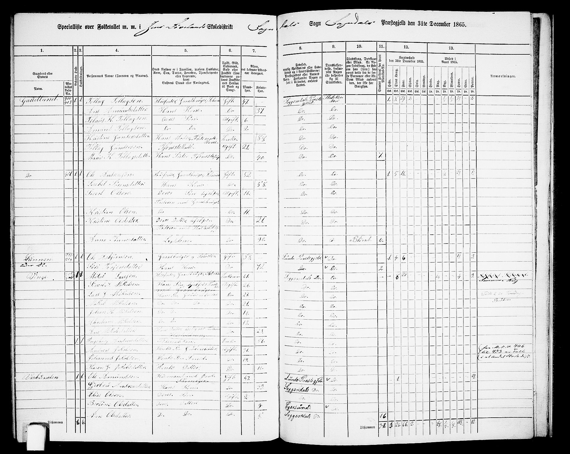 RA, 1865 census for Sokndal, 1865, p. 119