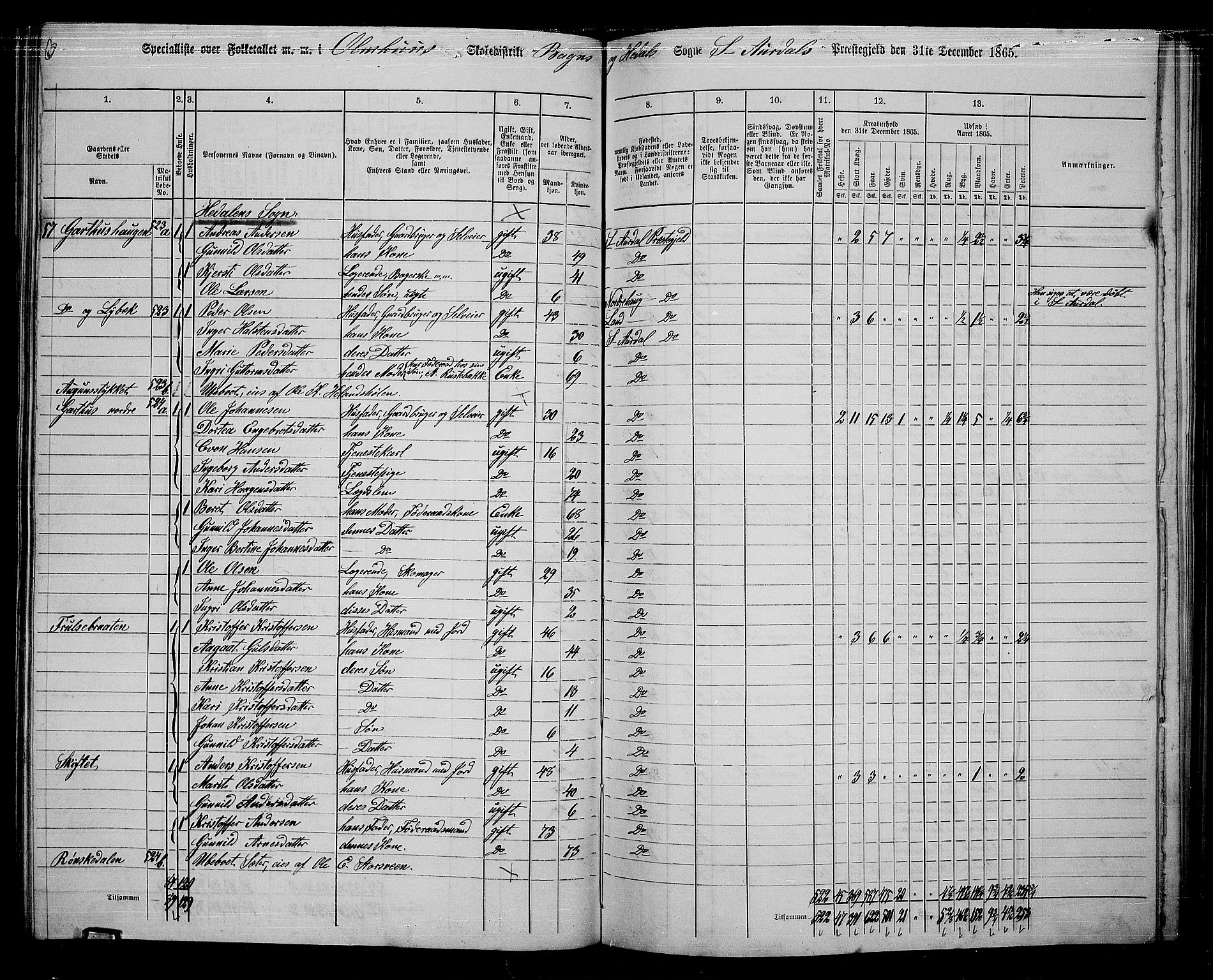 RA, 1865 census for Sør-Aurdal, 1865, p. 117