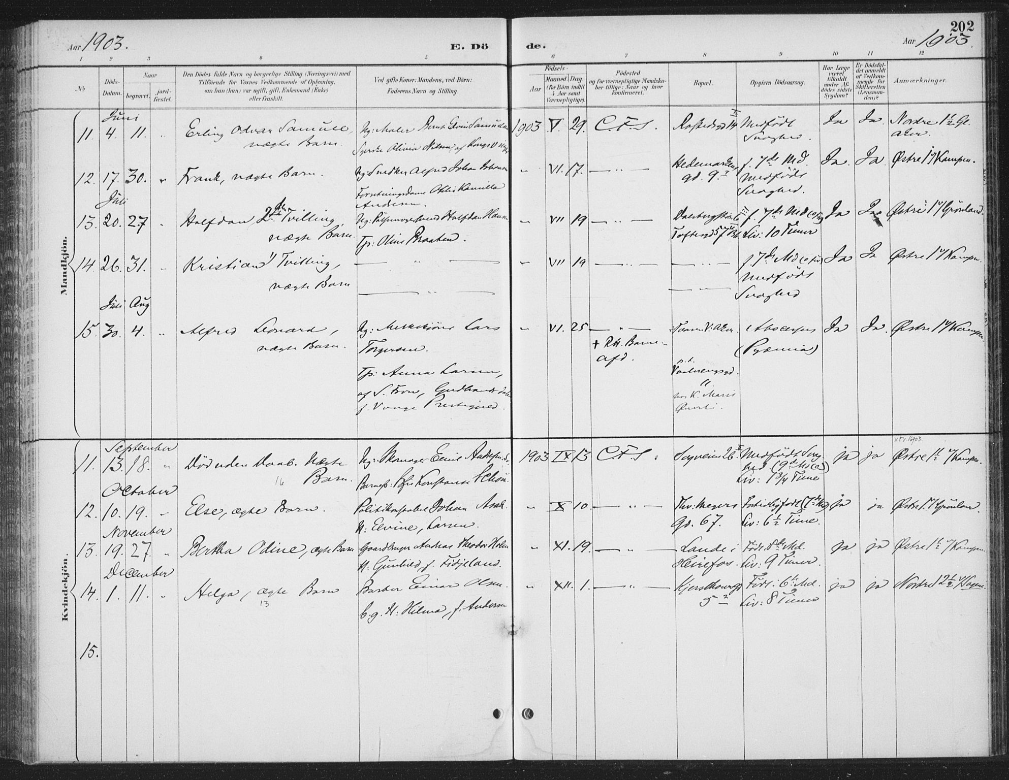 Rikshospitalet prestekontor Kirkebøker, AV/SAO-A-10309b/F/L0010: Parish register (official) no. 10, 1888-1912, p. 202