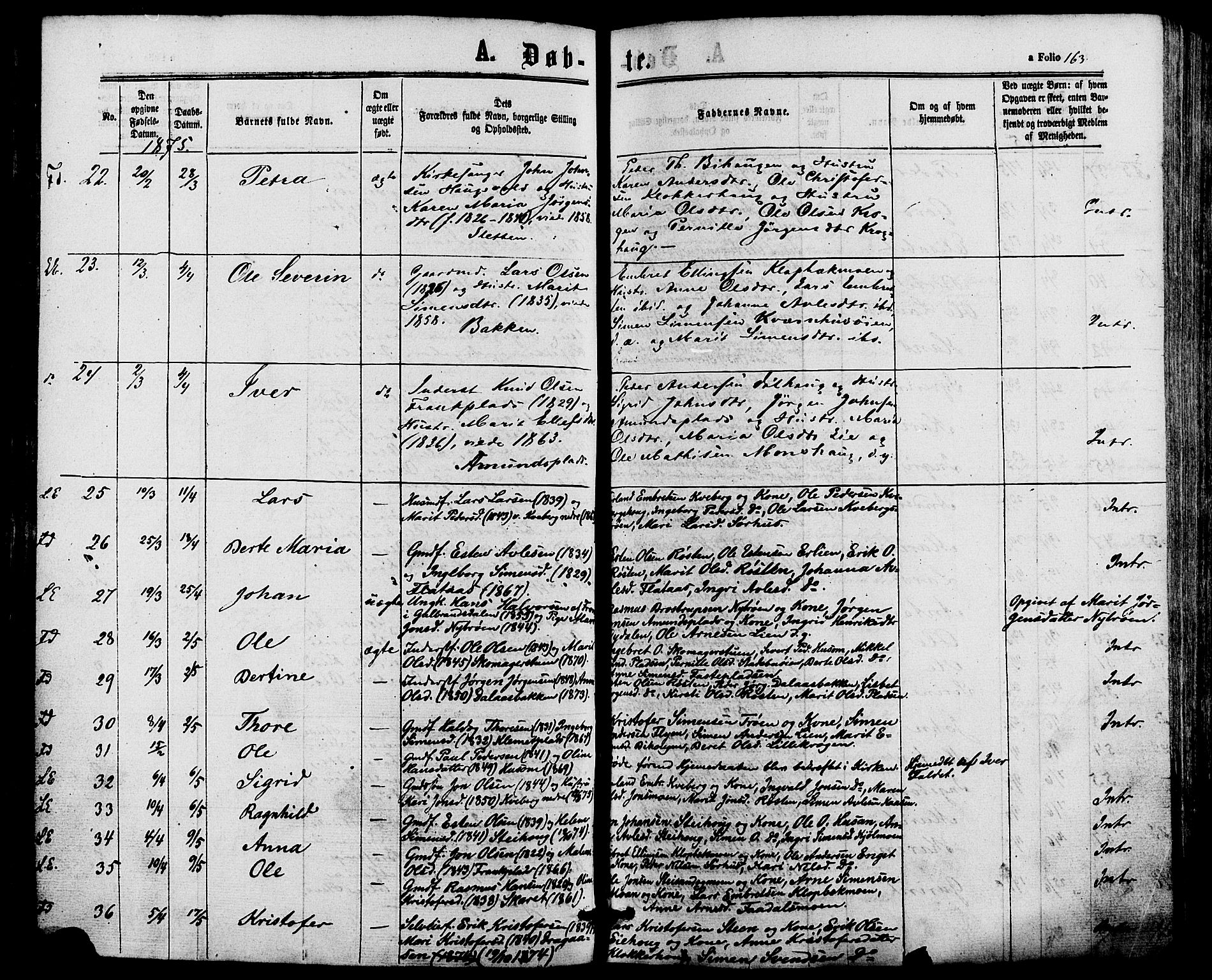 Alvdal prestekontor, AV/SAH-PREST-060/H/Ha/Haa/L0001: Parish register (official) no. 1, 1863-1882, p. 163