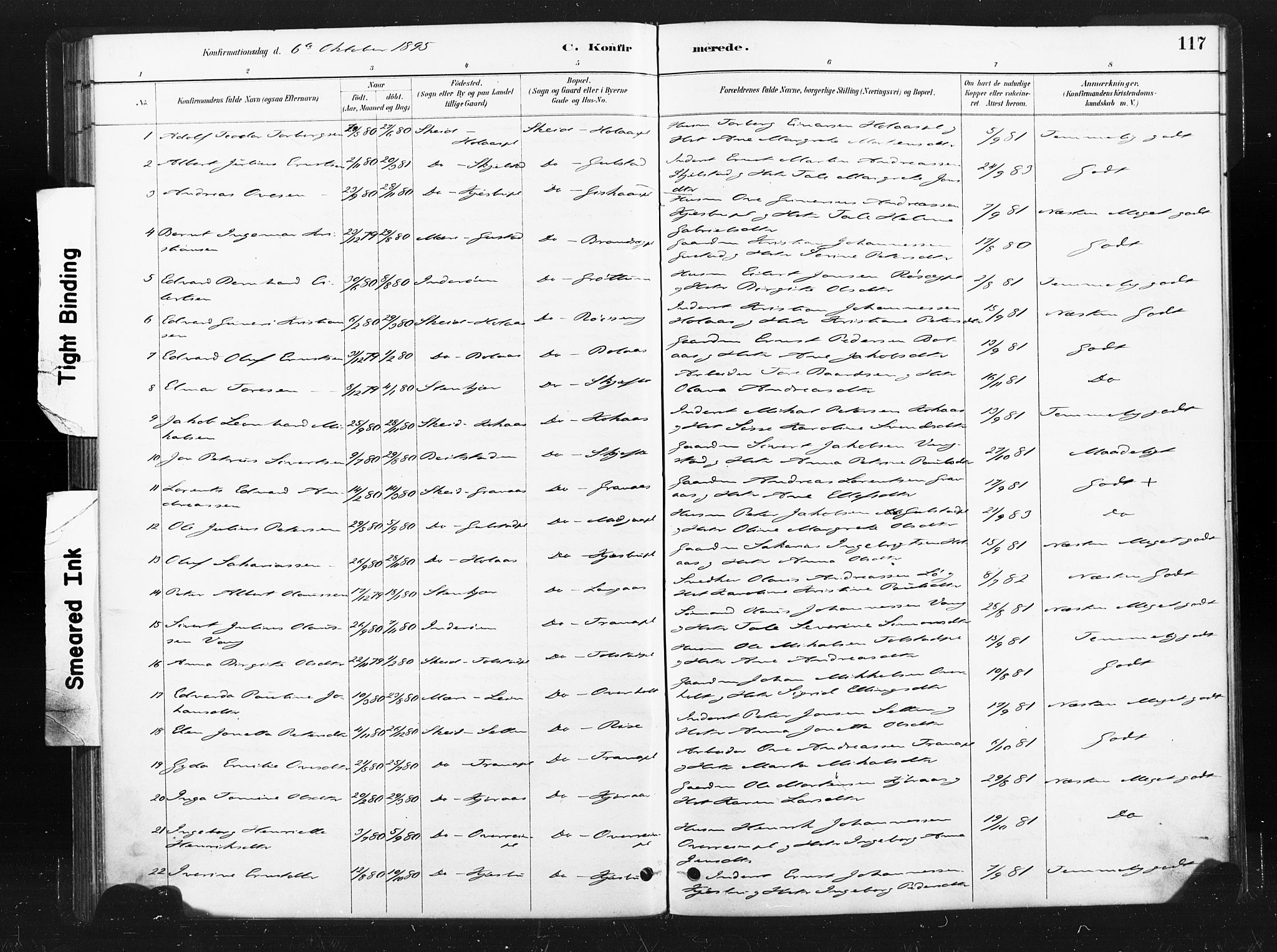 Ministerialprotokoller, klokkerbøker og fødselsregistre - Nord-Trøndelag, AV/SAT-A-1458/736/L0361: Parish register (official) no. 736A01, 1884-1906, p. 117