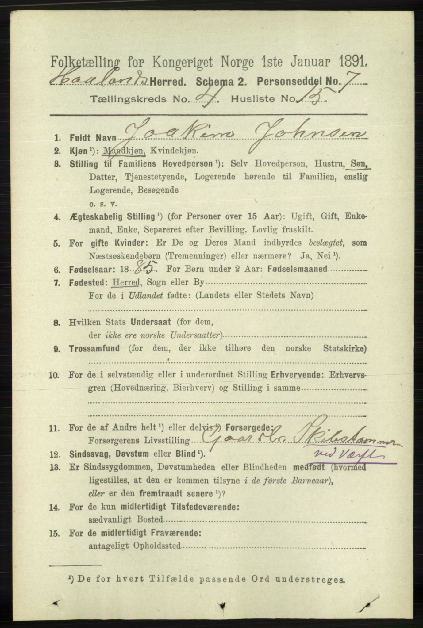 RA, 1891 census for 1124 Haaland, 1891, p. 2507