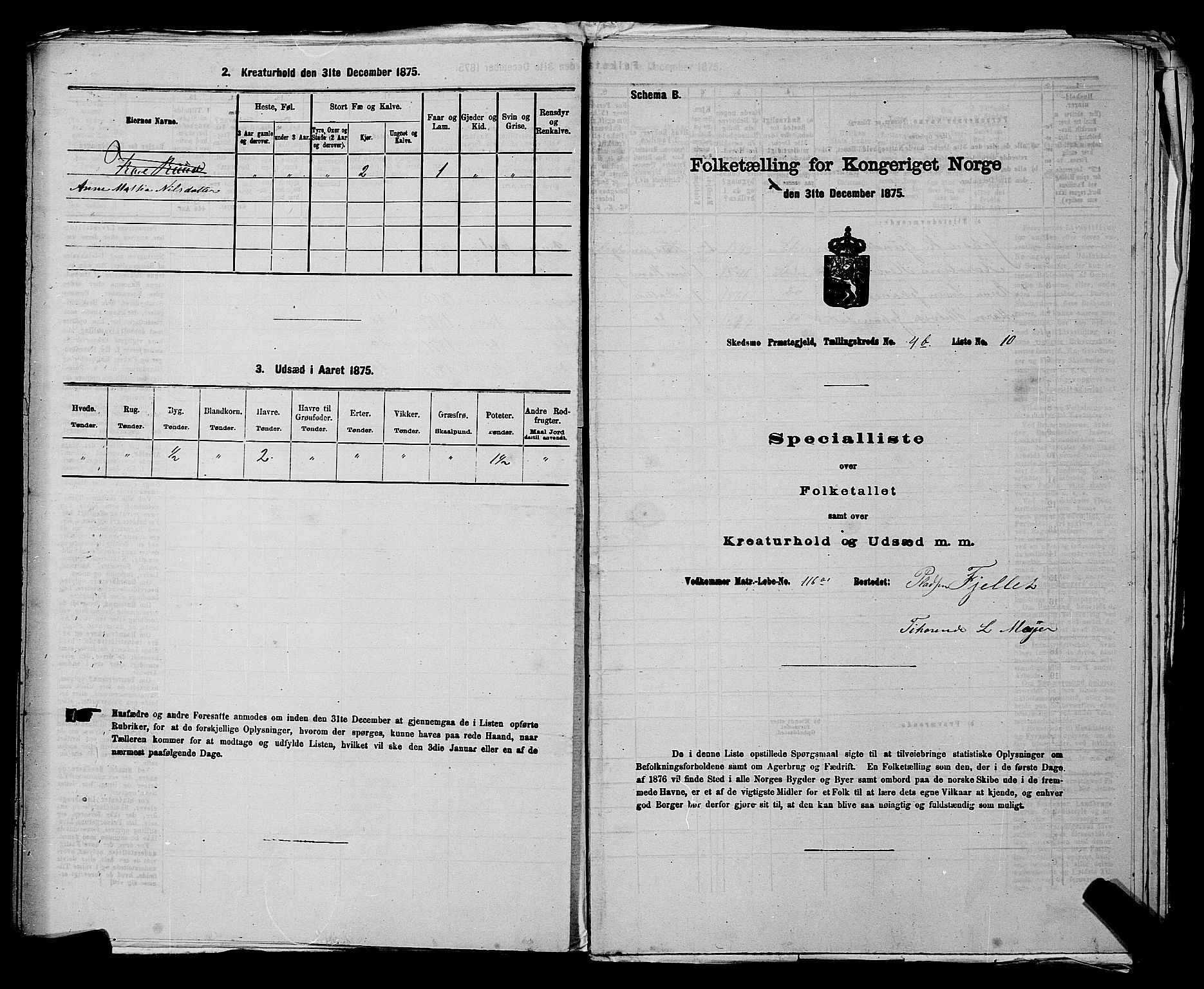 RA, 1875 census for 0231P Skedsmo, 1875, p. 585