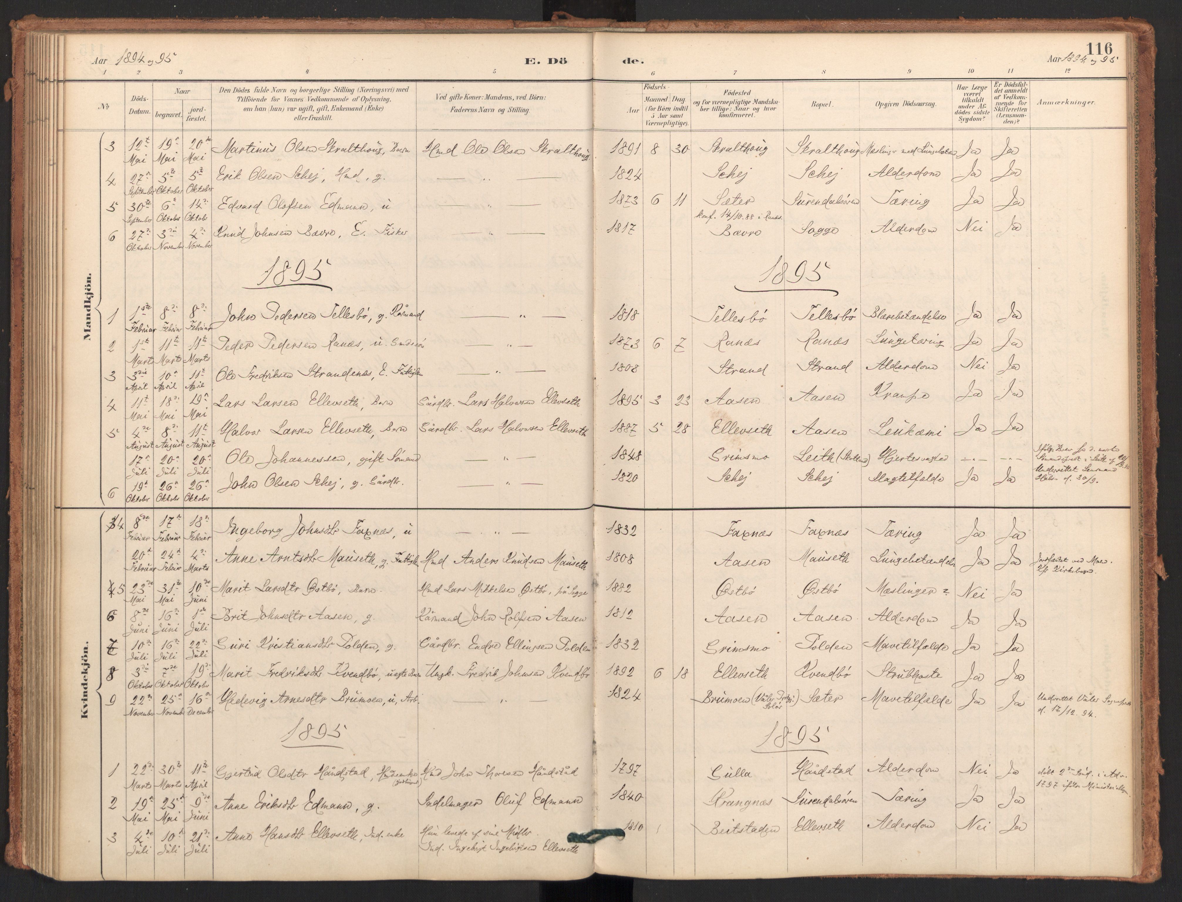 Ministerialprotokoller, klokkerbøker og fødselsregistre - Møre og Romsdal, AV/SAT-A-1454/596/L1056: Parish register (official) no. 596A01, 1885-1900, p. 116